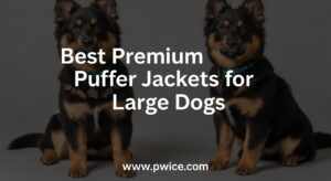Best Premium Puffer Jackets for Large Dogs