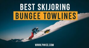 Best Skijoring Bungee Towlines