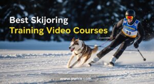 Best Skijoring Training Video Courses