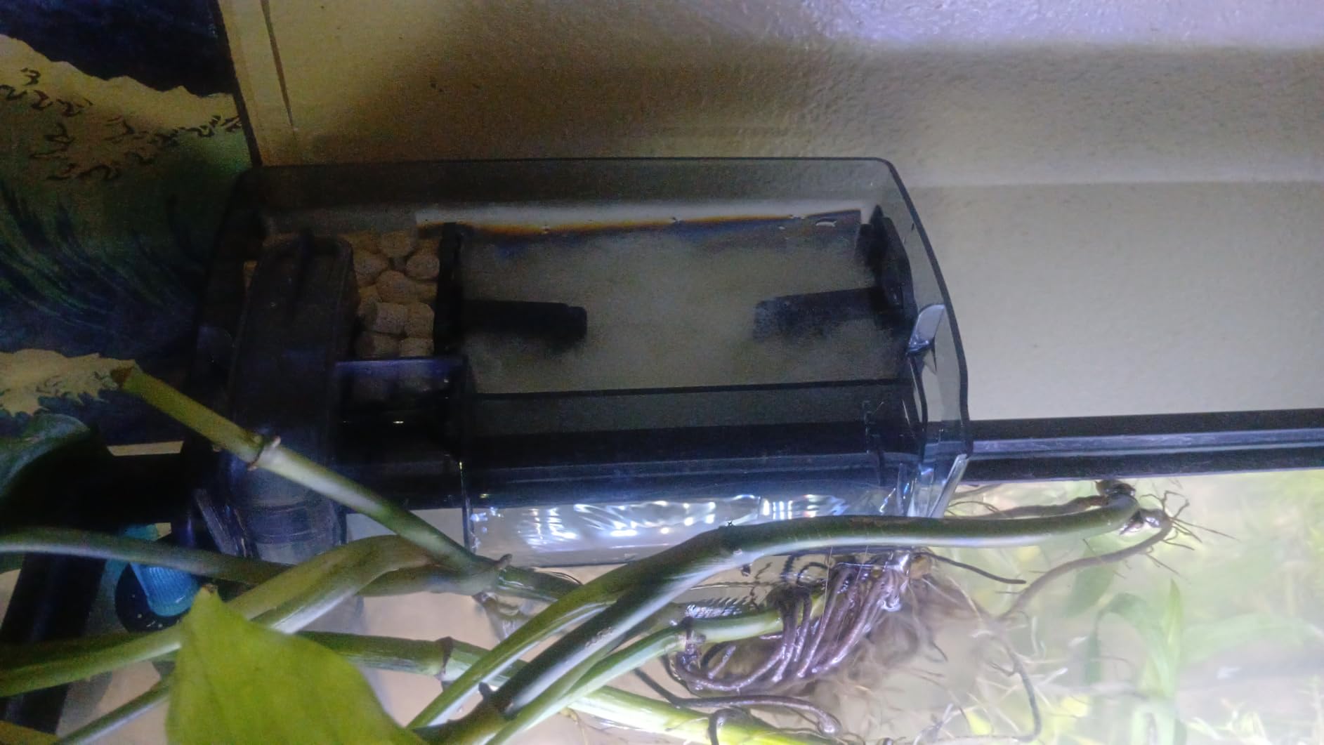 Fluval 50 Power Filter - Aquarium Filter for 20 to 50 Gallon Fish Tanks - Quiet Energy Efficient Pump - Mechanical, Chemical & Biological Filtration customer photo 1
