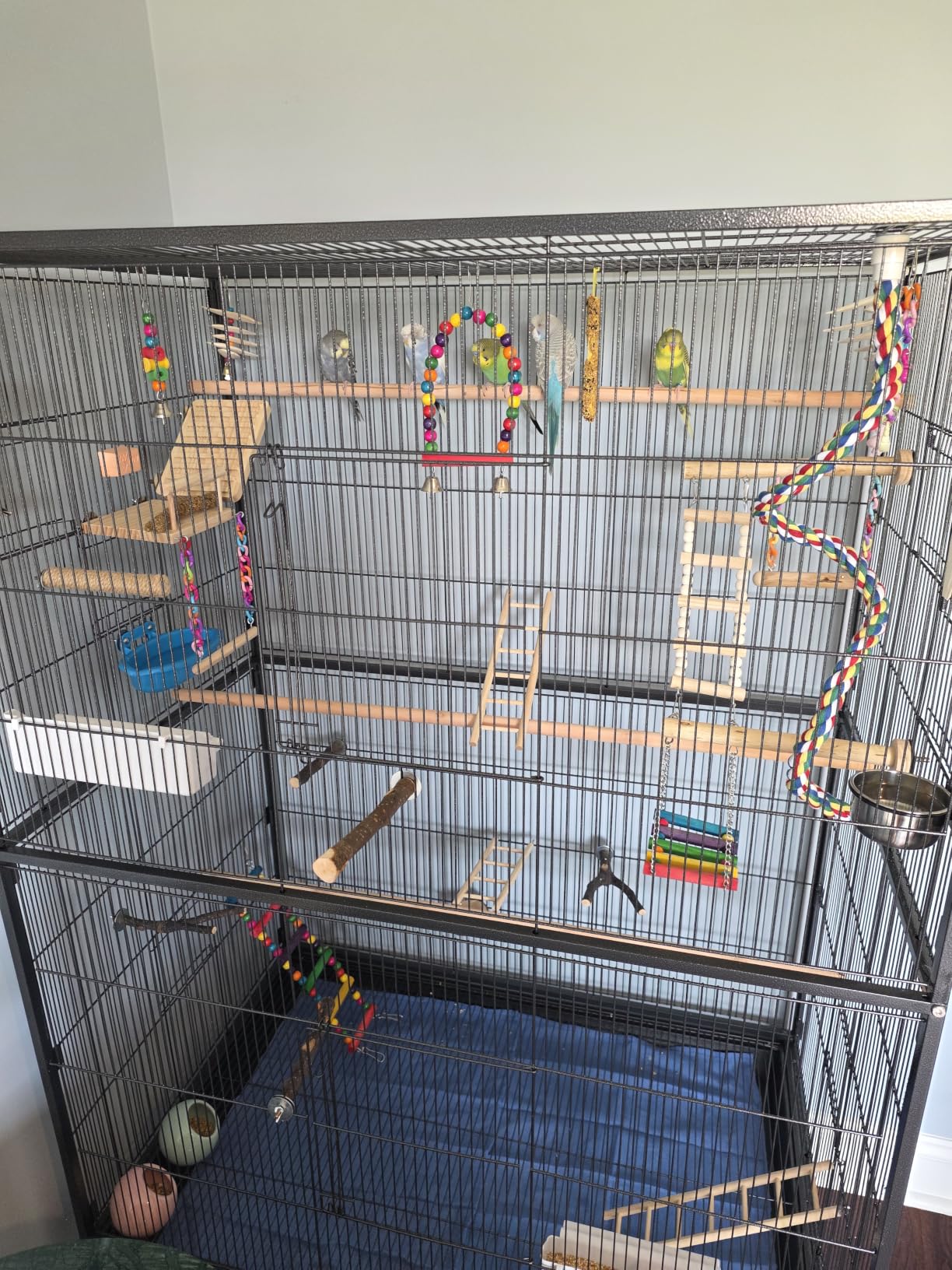 Prevue Hendryx Pet Products Wrought Iron Flight Cage - Big Rolling Bird Cage for Parakeets, Cockatiels, Conures, Lovebirds, Canaries, Finches, Parrotlets, & Caiques, 5 Ft - X-Large, Hammertone Black customer photo 1