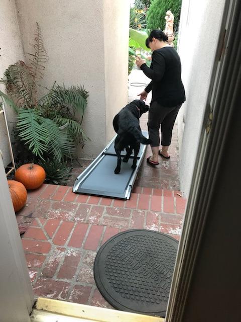 PetSafe Happy Ride Telescoping Dog Ramp, Portable Pet Ramp for Cars, Trucks & SUVs with Adjustable Sizing customer photo 2