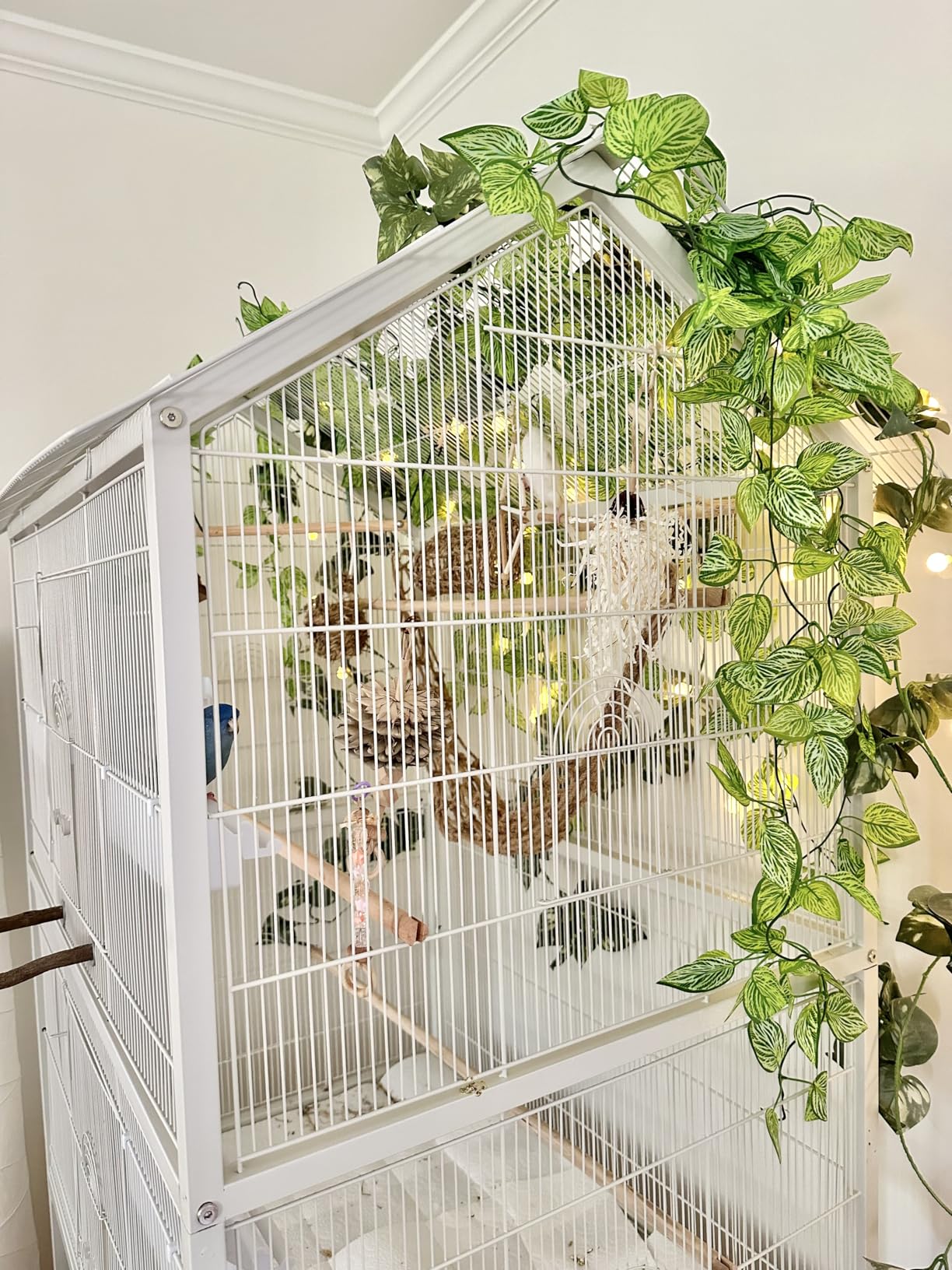 Prevue Pet Products Steel Bird Flight Cage with Wheels - Large Birdcage for Parakeets, Canaries, Finches, Cockatiels, Lovebirds, & Green Cheek, Metal Standing Birdcage - Black, Large customer photo 1