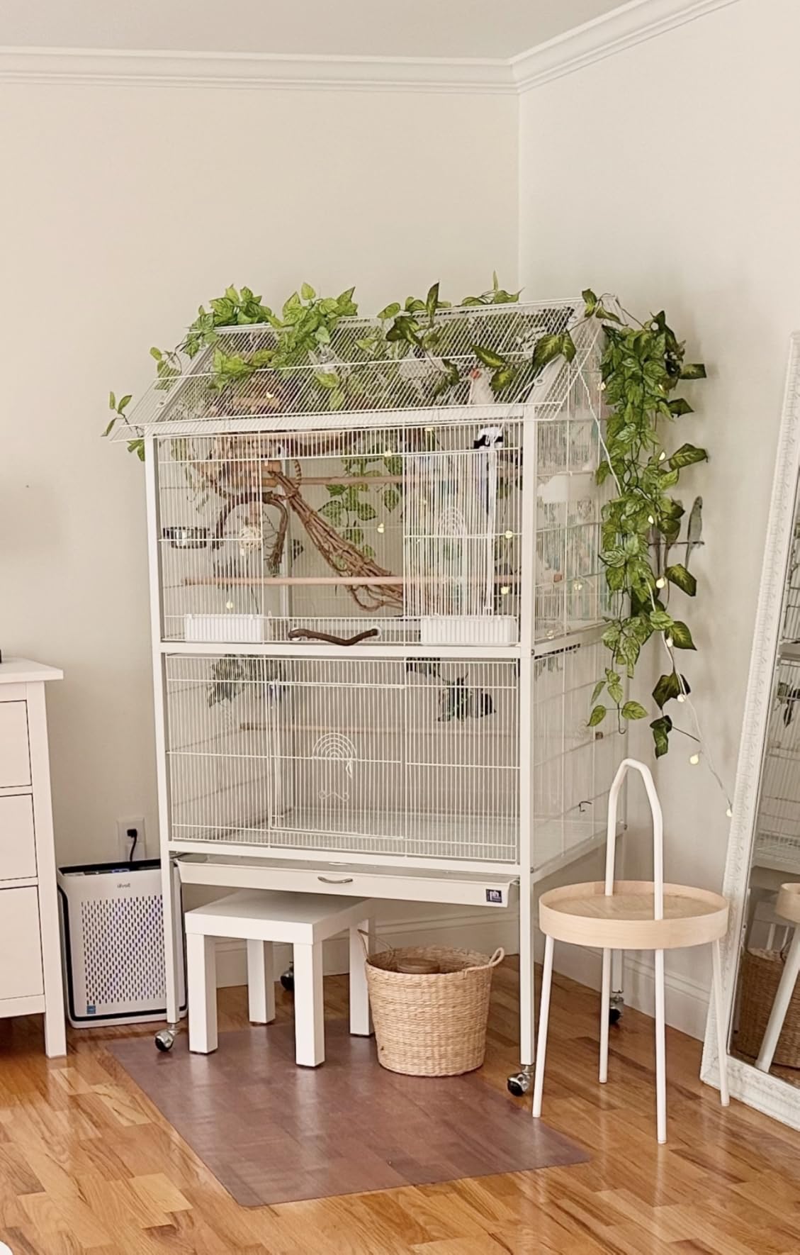 Prevue Pet Products Steel Bird Flight Cage with Wheels - Large Birdcage for Parakeets, Canaries, Finches, Cockatiels, Lovebirds, & Green Cheek, Metal Standing Birdcage - Black, Large customer photo 2