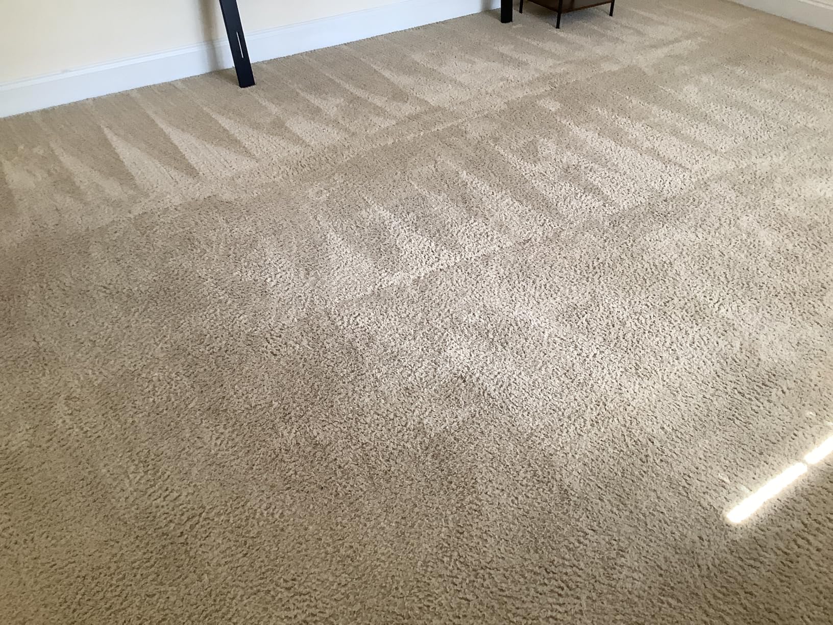 Nature's Miracle Carpet Shampoo Pet Stain & Odor Remover, 64 oz | Bio-Enzymatic Formula Removes & Deodorizes Deep-Set Pet Stains, For Water-Based Carpet Cleaners, Use on Carpet & Upholstery customer photo 1