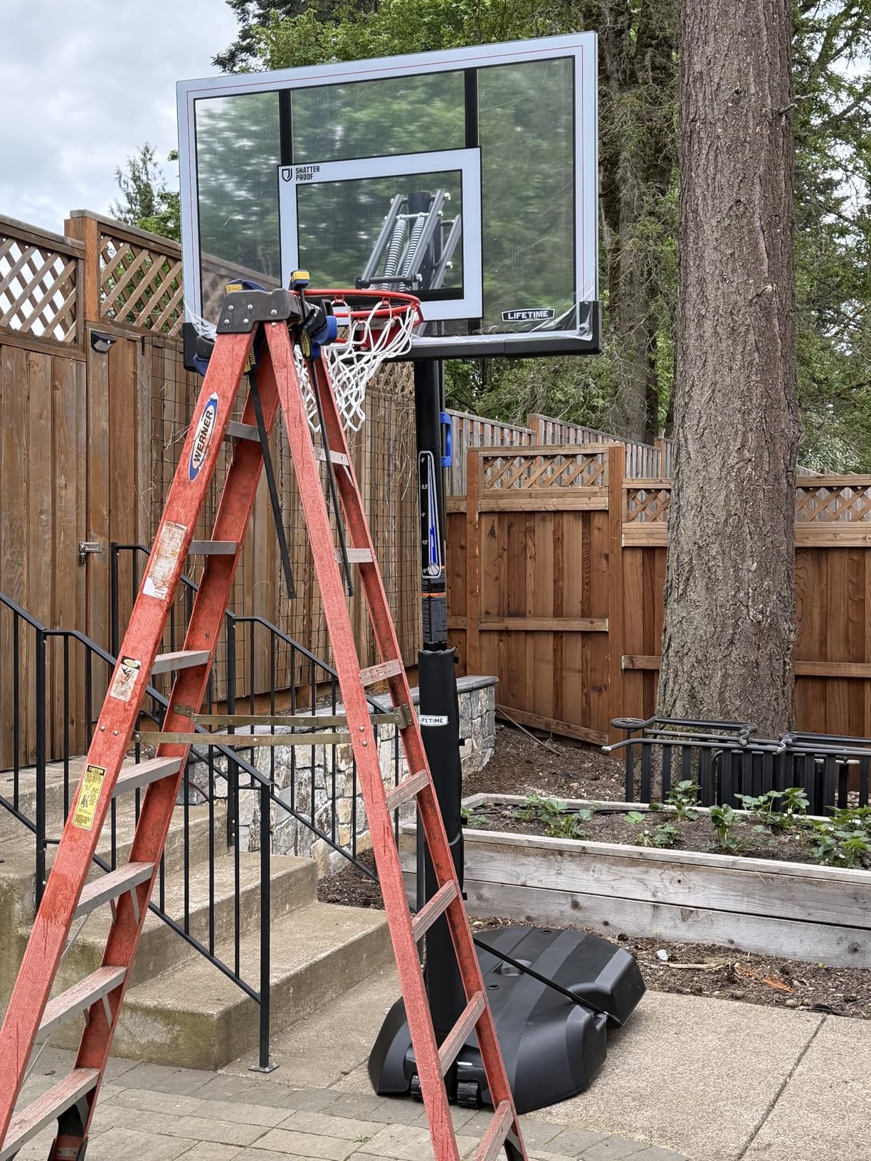 Lifetime 51544 Front Court Portable Basketball System, 50 Inch Shatterproof Backboard customer photo 1