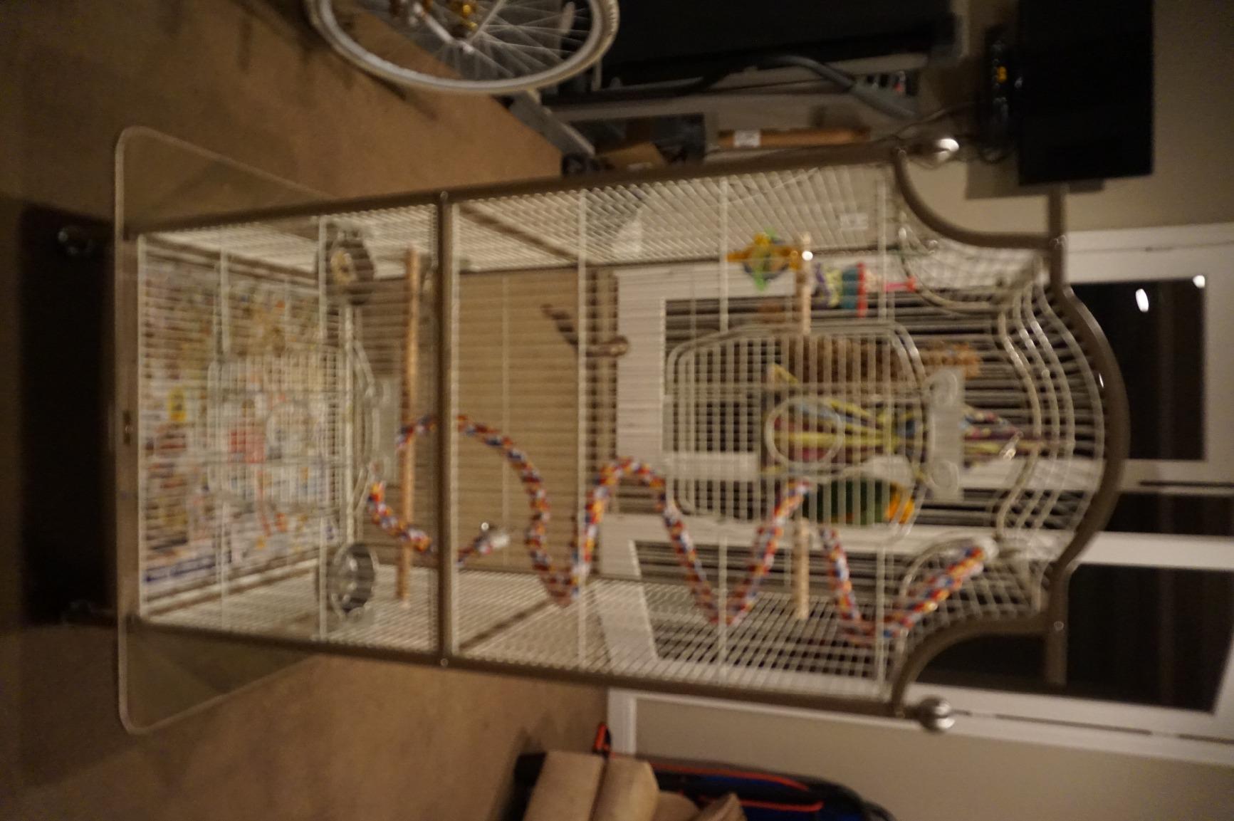 Prevue Pet Products Pagoda Cockatiel Cage with Seed Guards - Cocoa & Cream | Tall Powder-Coated Steel Bird Cage with Rolling Stand and Perches, Ideal for Cockatiels and Medium Sized Birds customer photo 2