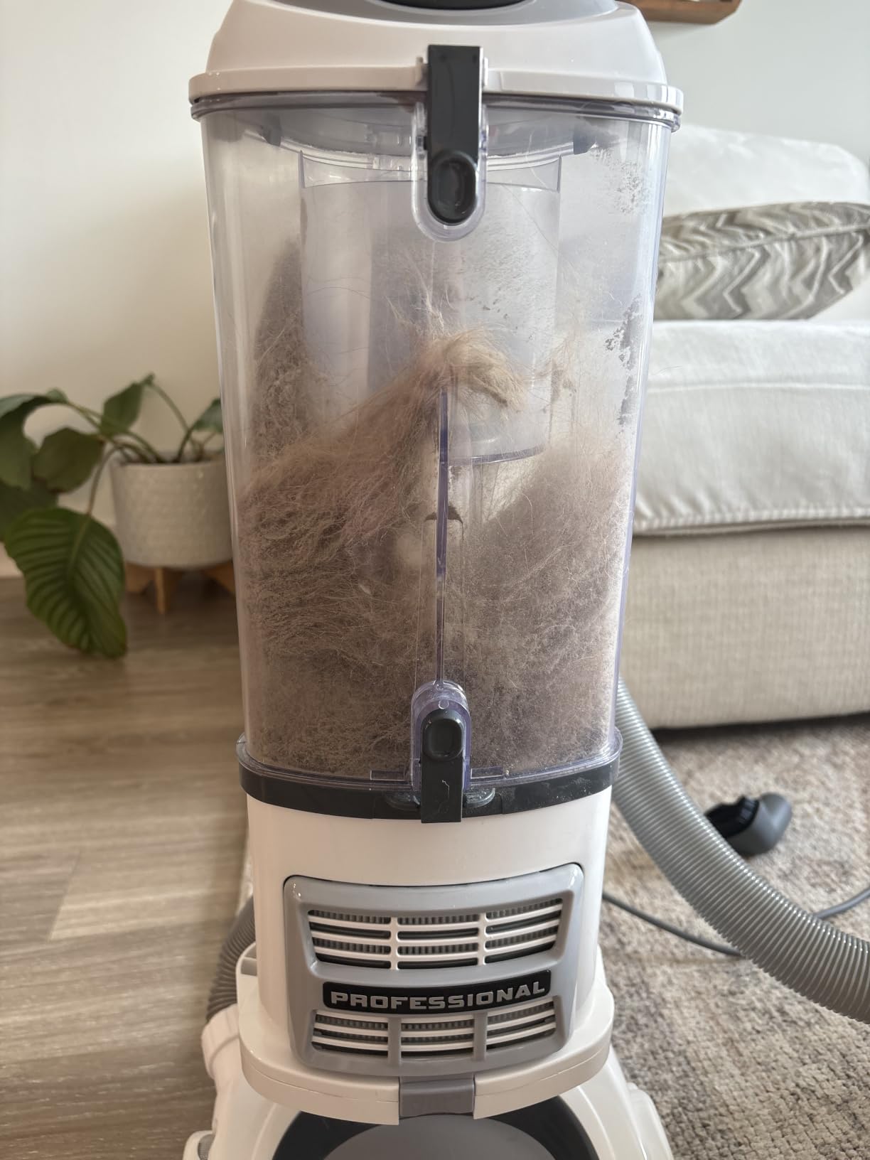 Shark Upright Vacuum Cleaner | Navigator Lift-Away | Pet Hair, Carpet & Hard Floor Cleaning | Dusting Brush & Crevice Tool | HEPA Filter | Swivel Steering | White/Silver | NV356E customer photo 2