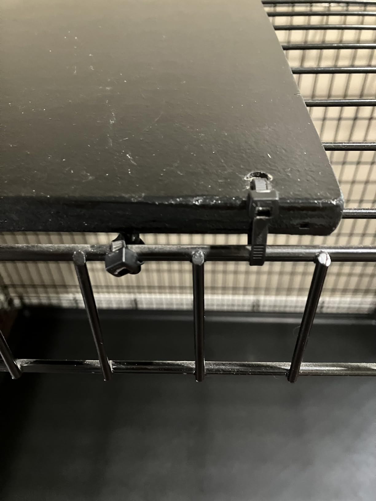 Solutions by MidWest Homes for Pets 54-Inch Drop Pin Crate for Giant Breeds Over 100 lbs, Double Door Dog Crate with Leak-Proof Tray & Secure Latches, Durable Drop Pin Construction customer photo 1