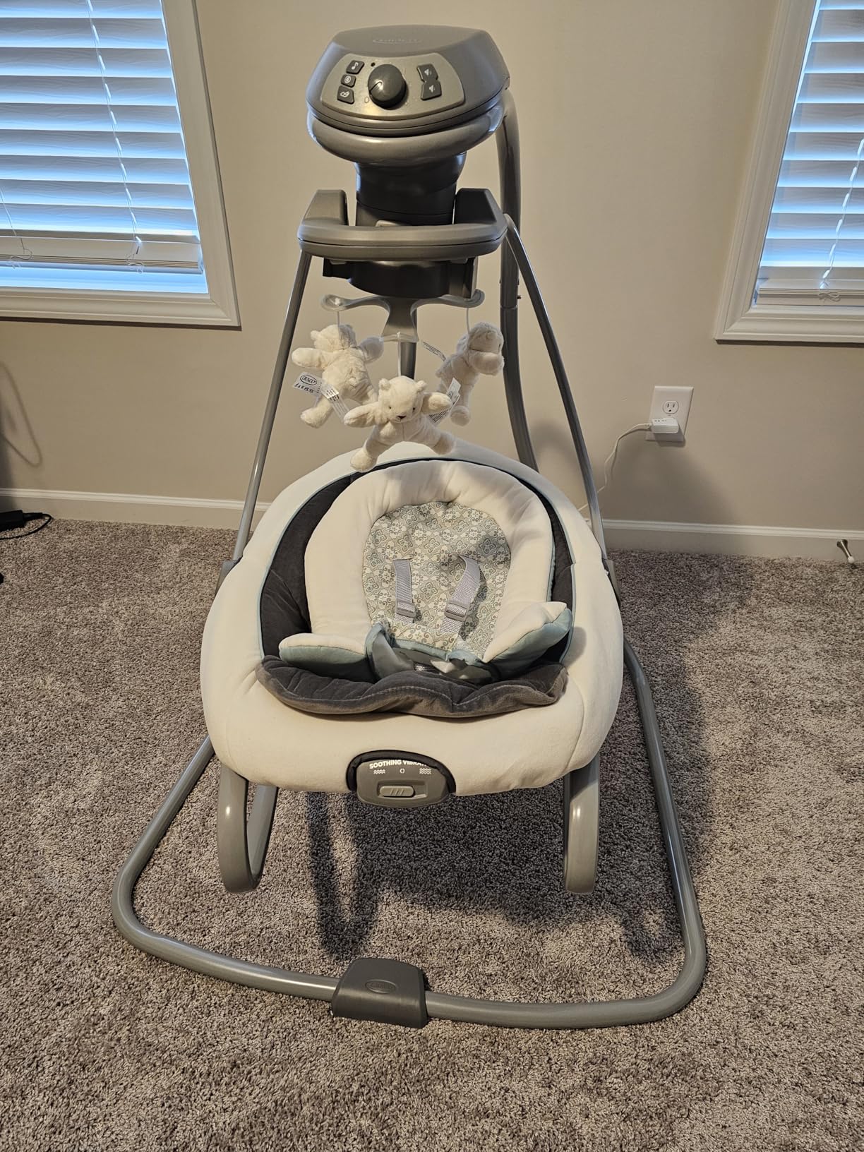 Graco DuetSoothe 2 in 1 Portable Baby Swing & Baby Rocker, Multi Direction, Vibration, Winslet customer photo 2