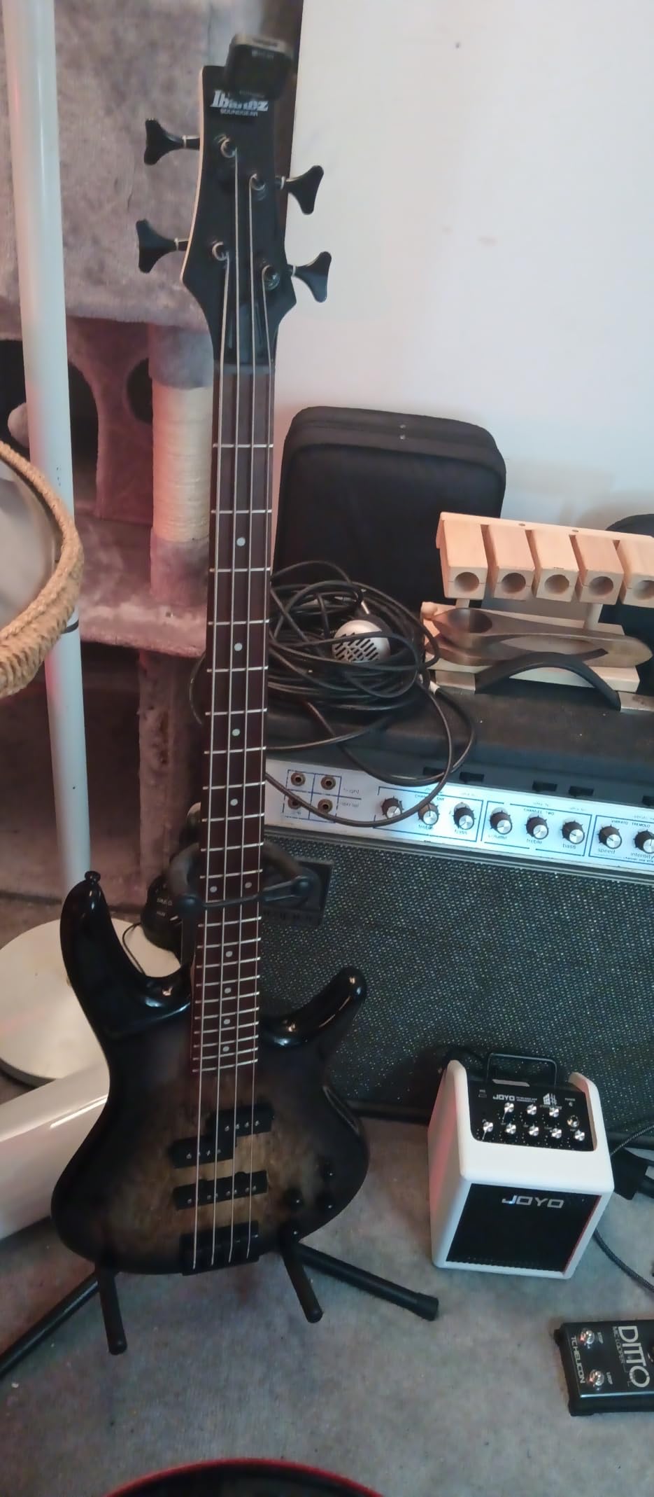 Ibanez GSR200BWNF GIO - Walnut Flat customer photo 2