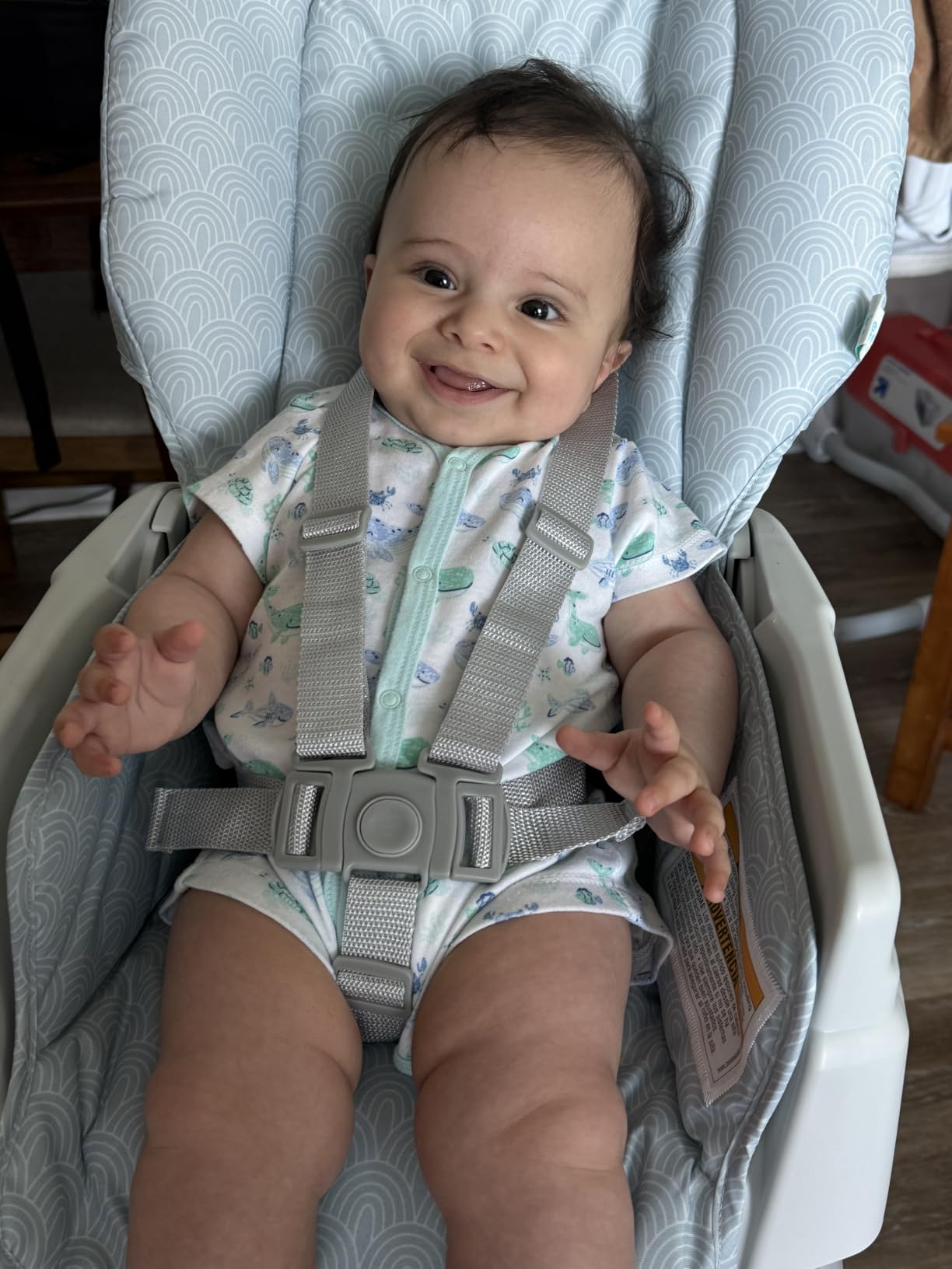Graco Slim Snacker High Chair, Ultra Slim, Fast-Folding, Multiple Recline Positions, Comfortable Feeding, Whisk customer photo 2