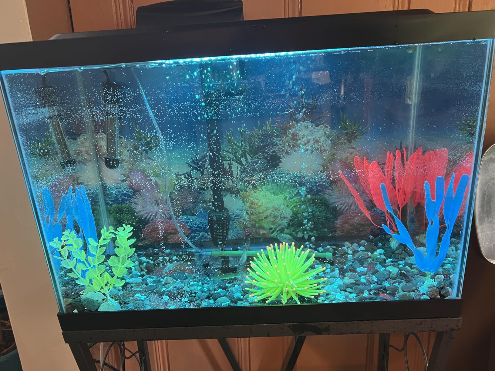 Tetra 20 Gallon Complete Tropical Fish Tank Kit customer photo 1
