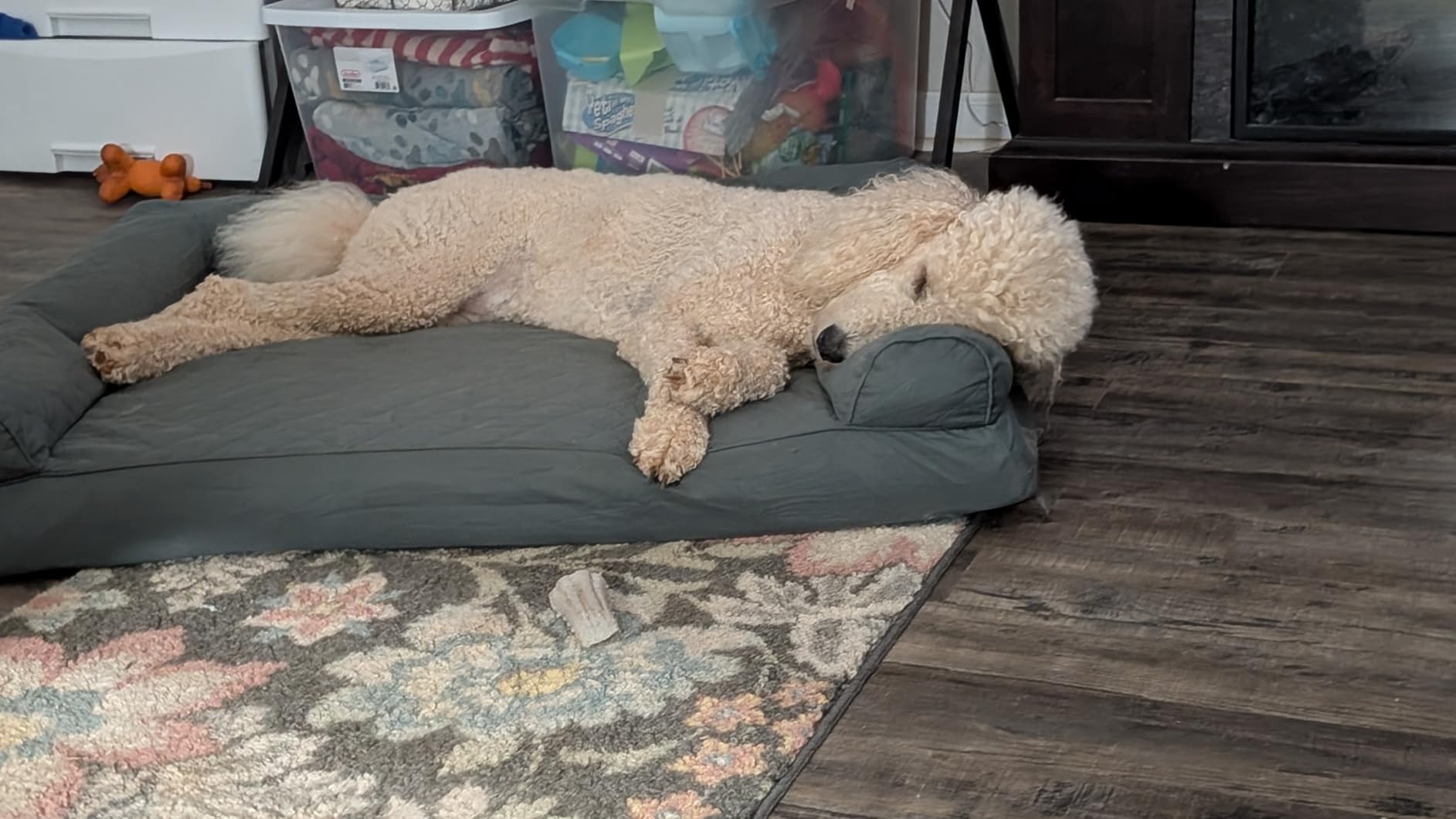 Furhaven Orthopedic Dog Bed for Large Dogs w/ Removable Bolsters & Washable Cover, For Dogs Up to 95 lbs - Quilted Sofa - Toasted Brown, Jumbo/XL customer photo 1