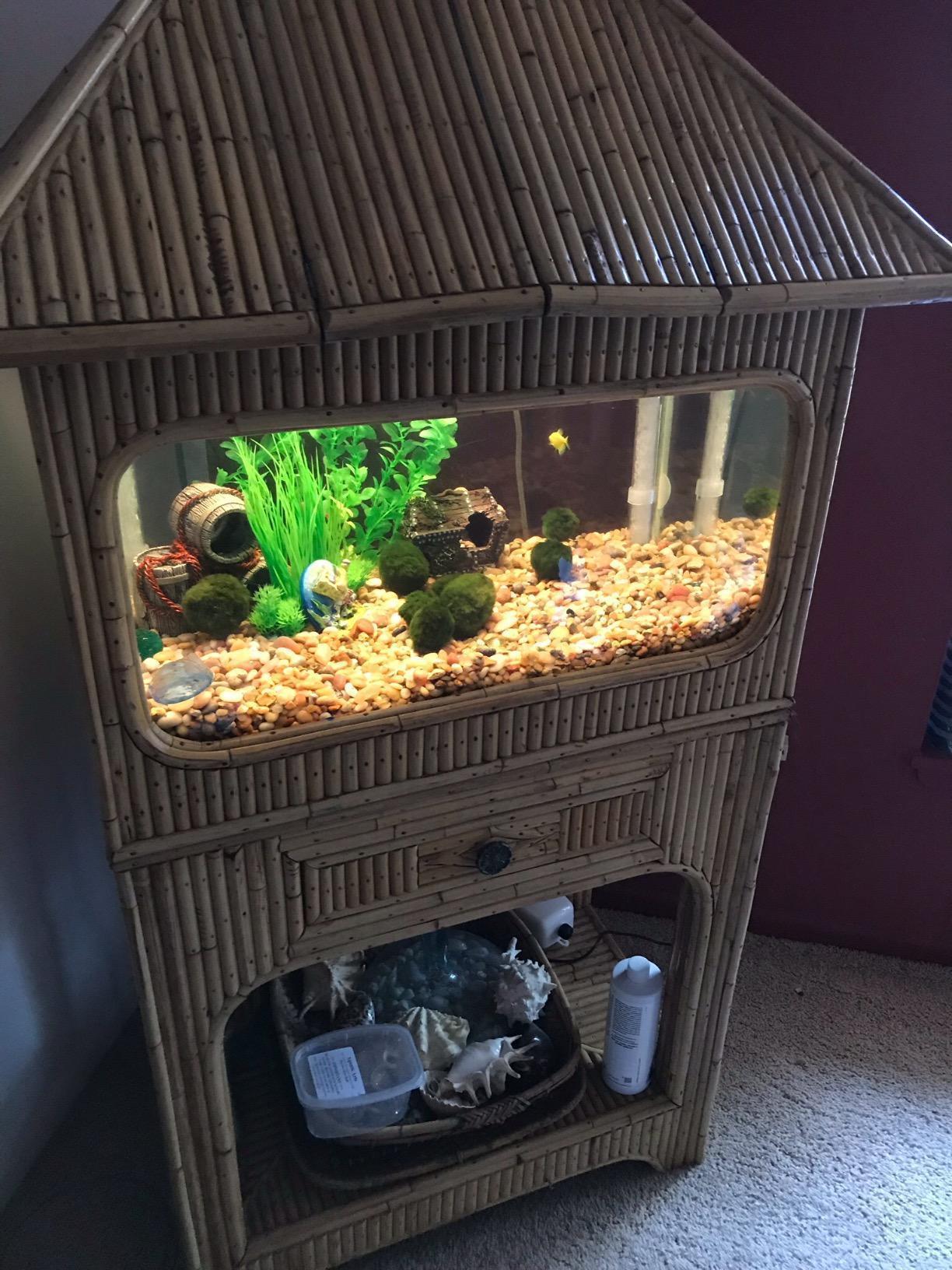 Penn-Plax Cascade Canister Aquarium Filter (1000 Elite) customer photo 1