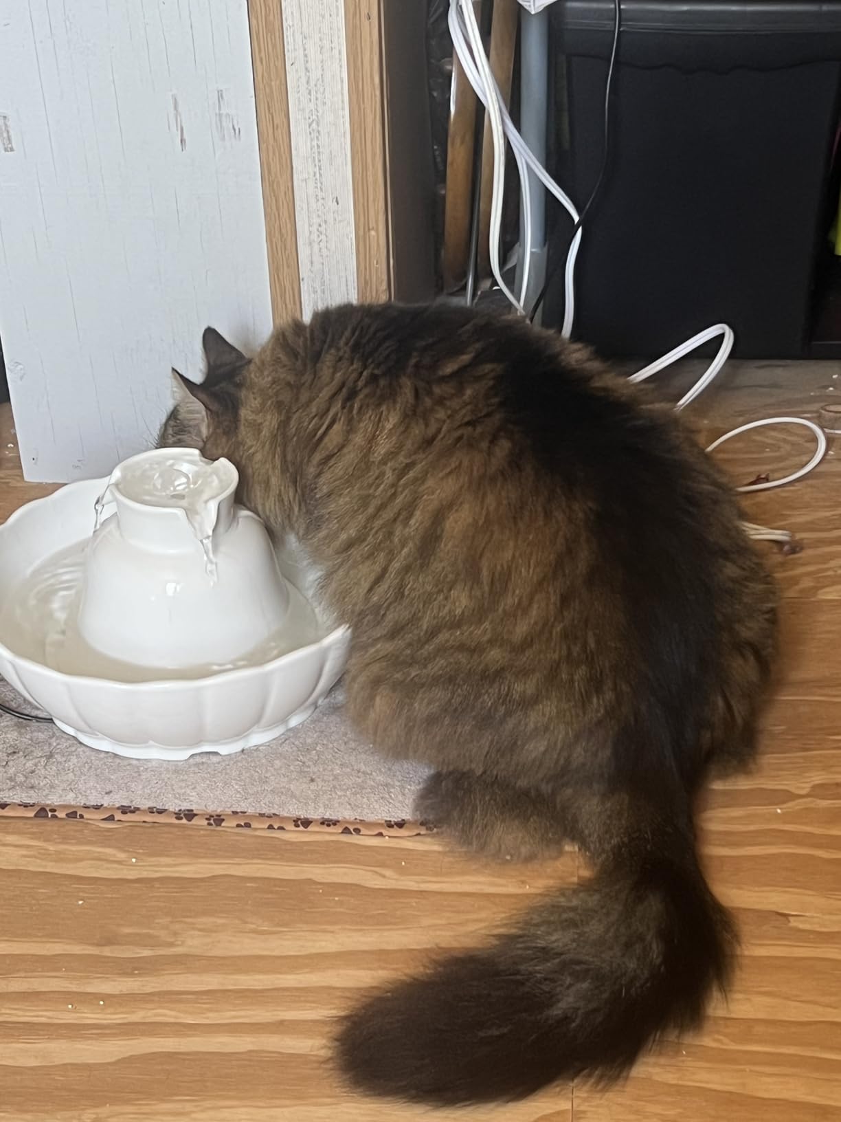 iPettie Tritone Ceramic Cat Water Fountain, Heavy-Duty Waterer for Pets, 2.1 Liters / 2.2 Quart Filtered Water Purifier with Replacement Filters and Foam, White customer photo 2