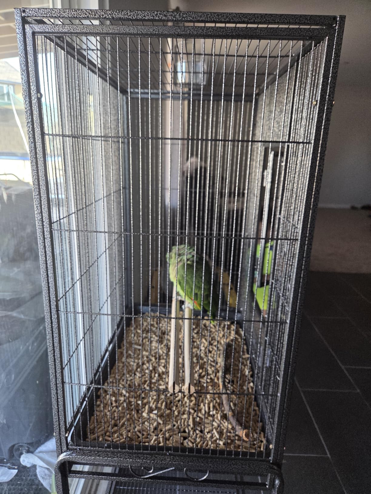 ZENY 53-Inch Parakeet Bird Cage, Wrought Iron Large Parrot Flight Birdcage | with Rolling Stand, Perches, Slide-Out Tray and Plastic Feeders, Casters, Bird Cage for Cockatiels Canary Finch customer photo 2