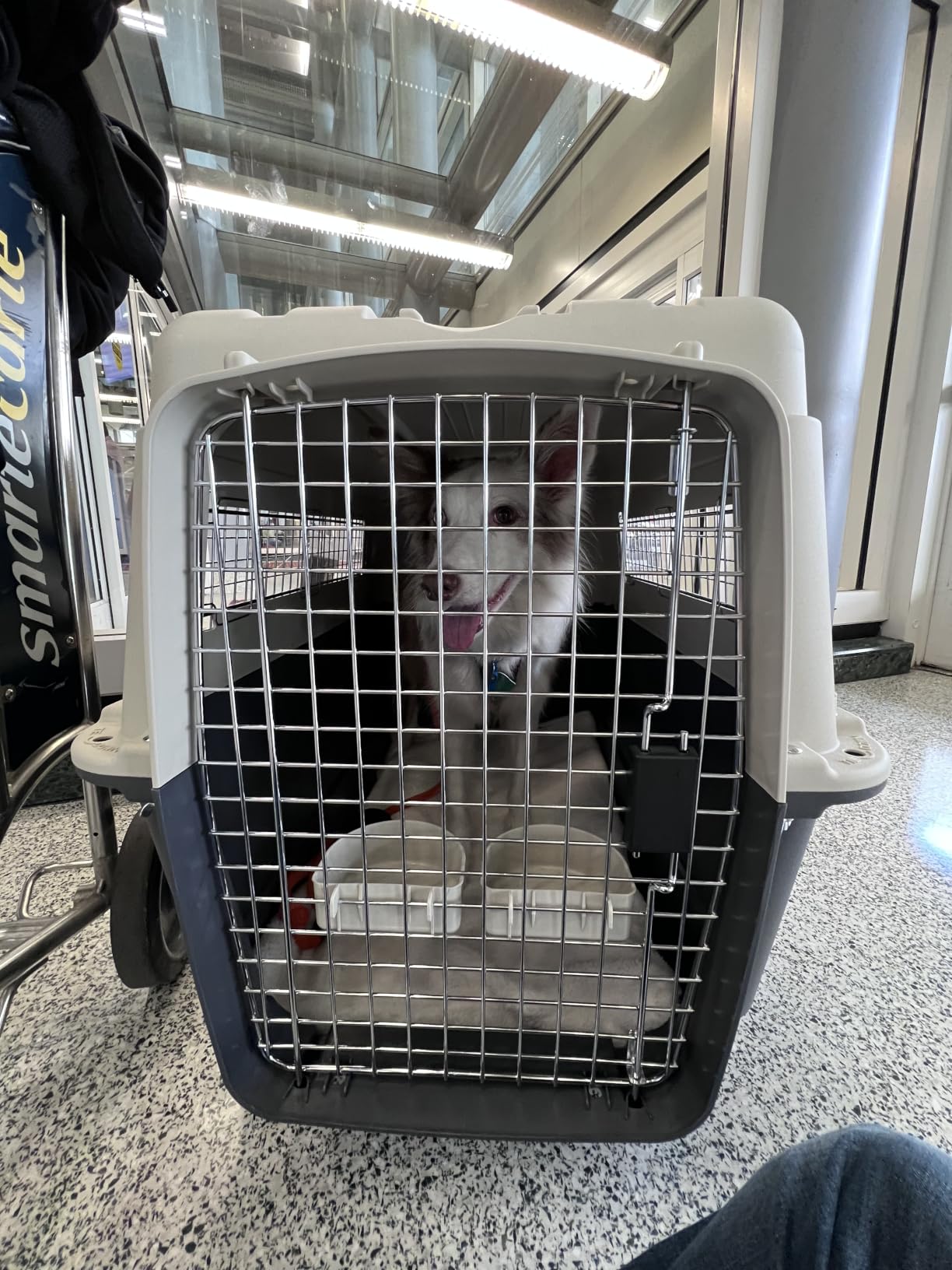 SportPet Airline Compliant XX-LARGE 39