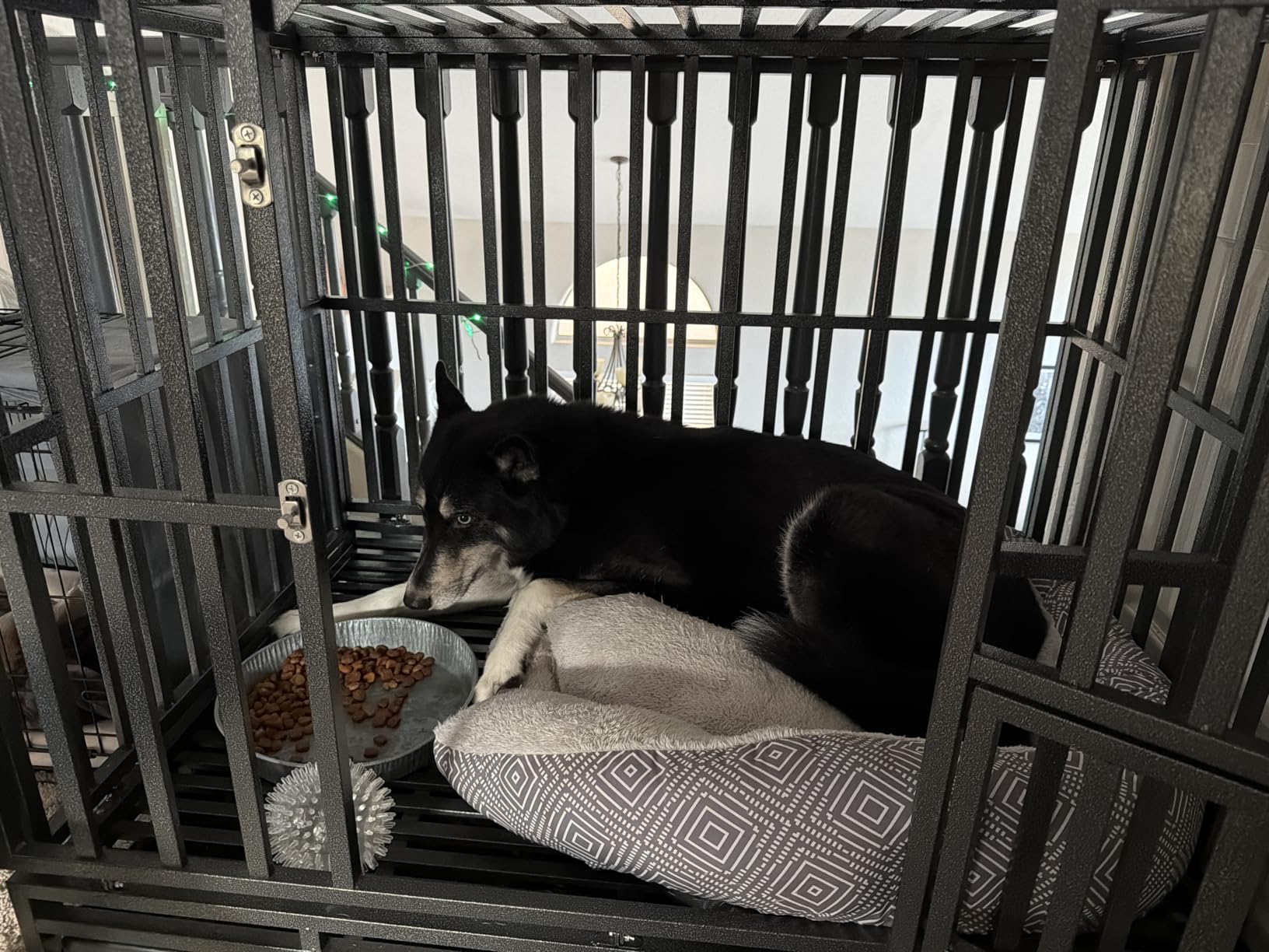 LUCKUP 38 Inch Heavy Duty Dog Cage Metal Kennel and Crate for Large Dogs, Easy to Assemble Pet Playpen with Four Wheels, Black customer photo 2