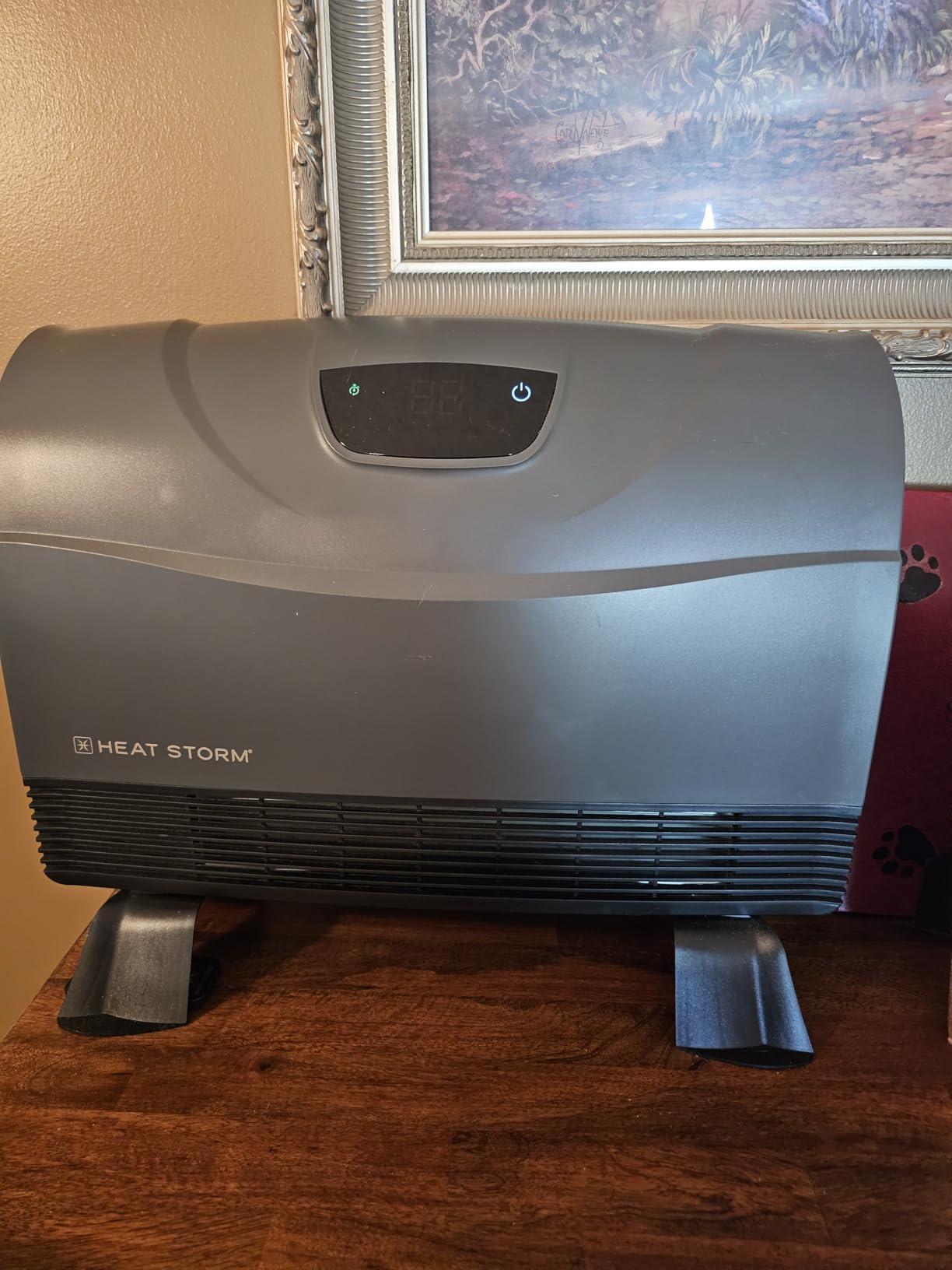 Heat Storm Phoenix HS-1500-PHX, Infrared Space Heater with Attachable Feet, Remote Control, Energy Efficient-750-1500 Watts, Gray Floor or Wall customer photo 1