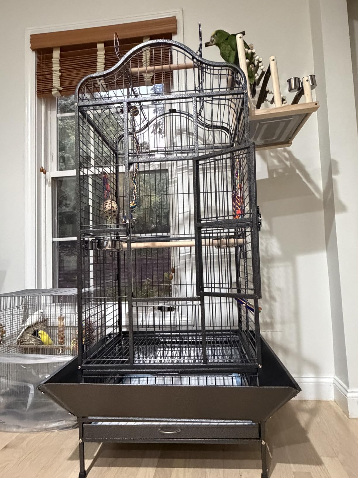 Yaheetech Extra Large Bird Cage 63'' Open Play Top Bird Cage for African Grey Parrots/Amazon Parrot/Caiques/Macaw with 360° Wheels customer photo 1