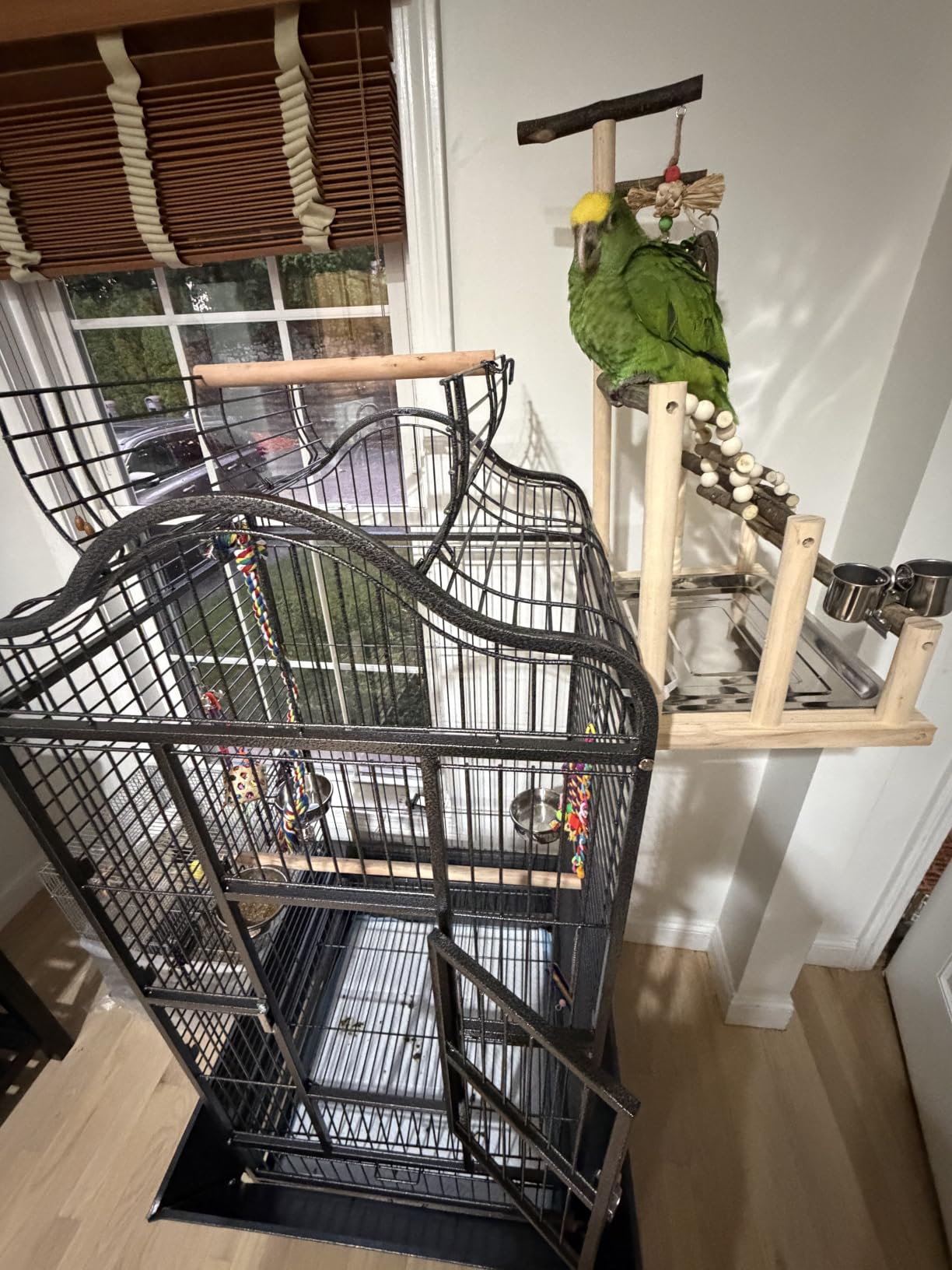 Yaheetech Extra Large Bird Cage 63'' Open Play Top Bird Cage for African Grey Parrots/Amazon Parrot/Caiques/Macaw with 360° Wheels customer photo 2