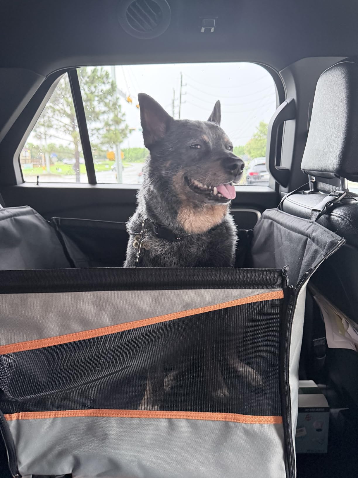 K&H Dog Car Seat, Buckle N' Go Dog Car Seats for Dogs, Large, 21x19x19in | for Medium to Large Sized Pets, Waterproof Fabric, Breathable Mesh Sides, Adjustable Seat Belt Leash, Washable, Gray customer photo 1