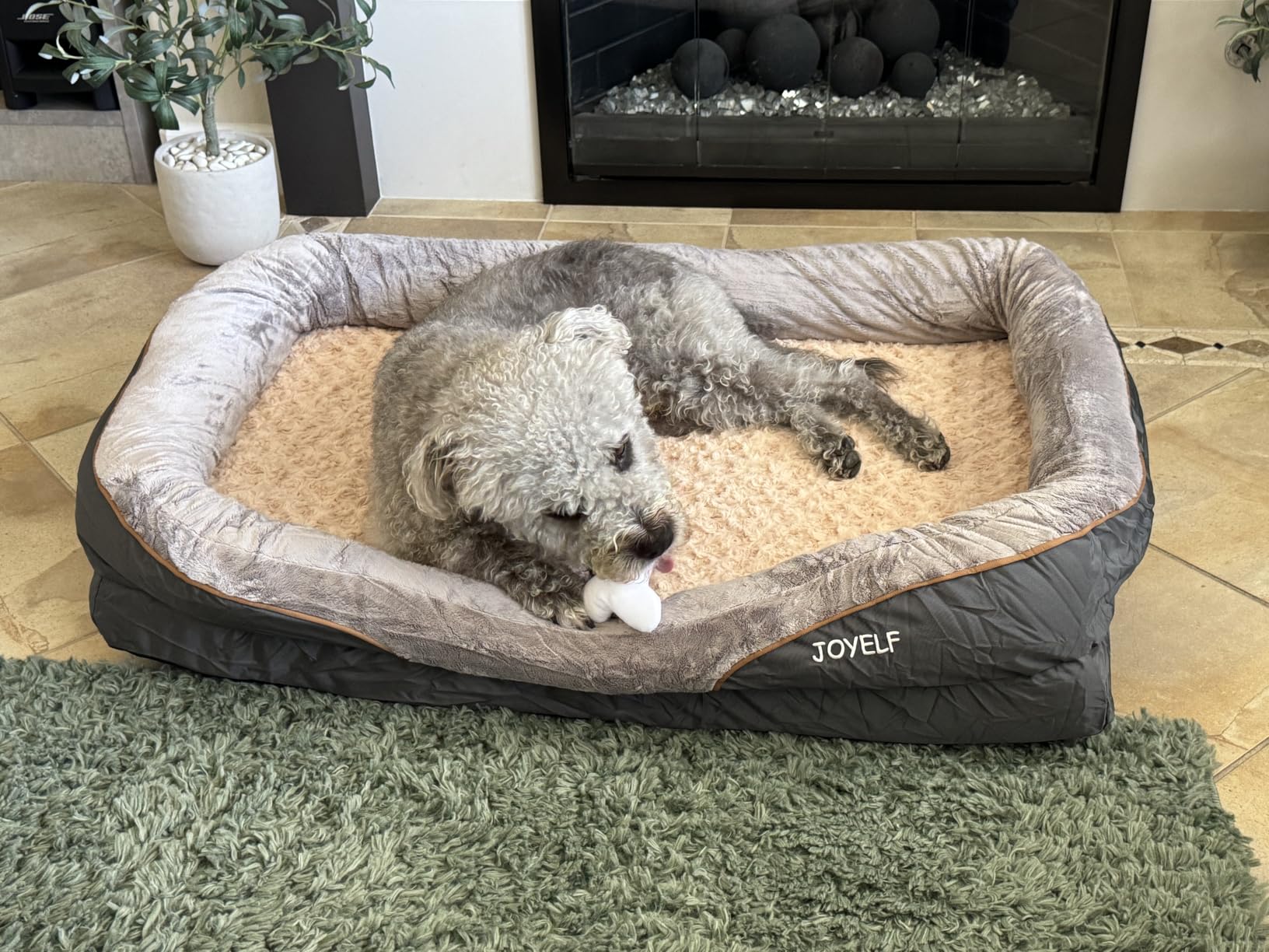 JOYELF XLarge Memory Foam Dog Bed, Orthopedic Dog Bed & Sofa with Removable Washable Cover and Squeaker Toy as Gift customer photo 1