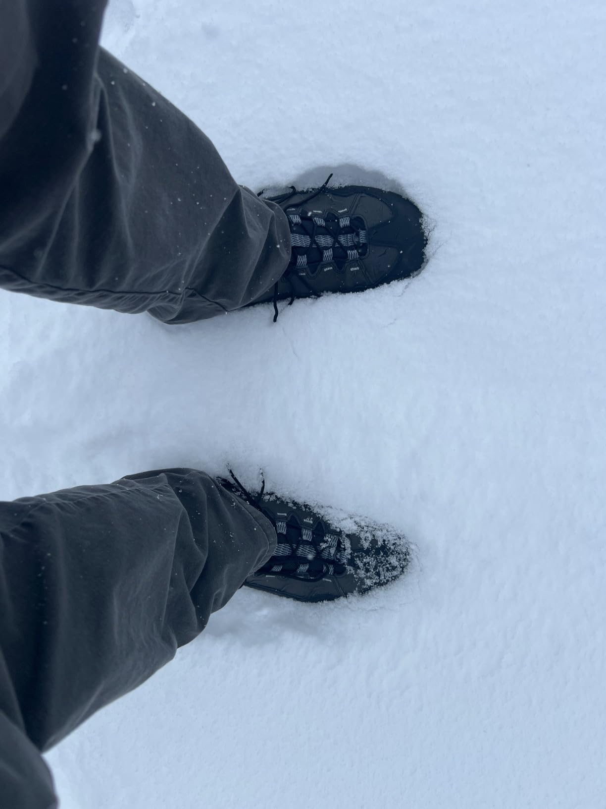 Men's Thermo Chill Mid Hiking Boots customer photo 1