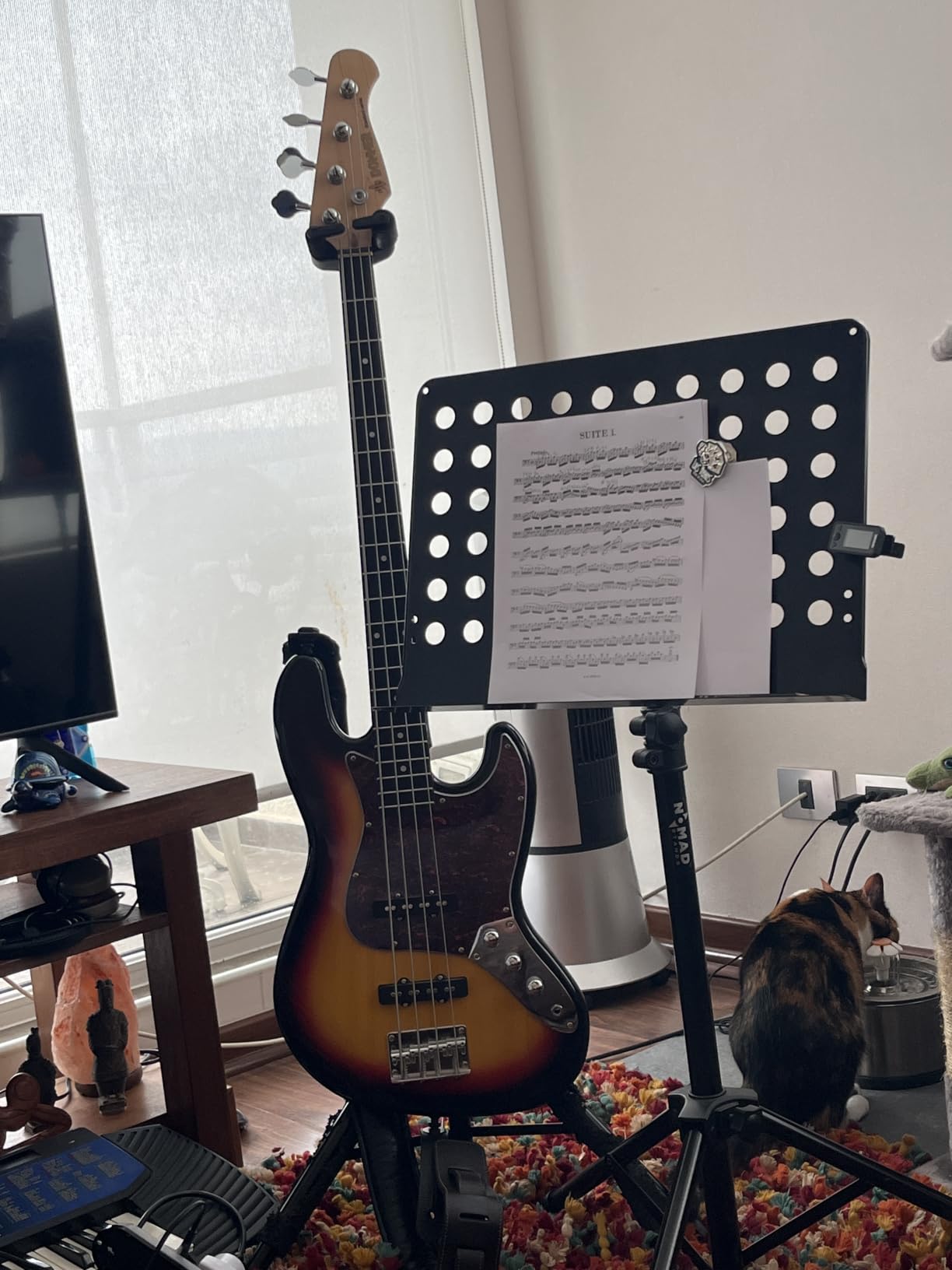 Donner Electric Bass Guitar 4 Strings Full-Size Standard Bass PB-Style Beginner Kit Black for Starter with Free Online Lesson Gig Bag Guitar Strap and Guitar Cable, DPB-510D customer photo 1
