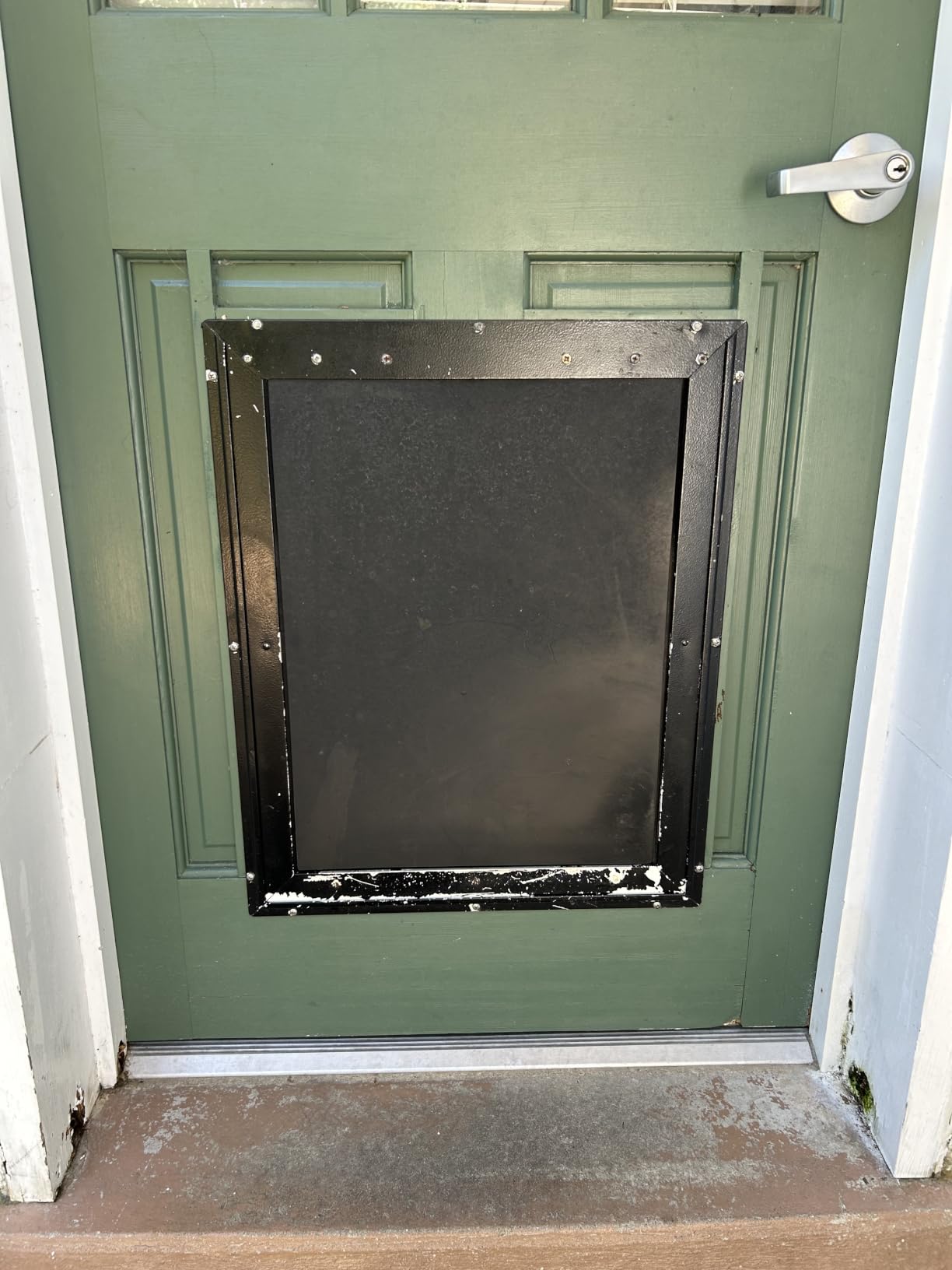 PetSafe Extreme Weather Aluminum Dog Door, 3-Flap Insulated, for Large Dogs | Energy-Efficient 3-Flap Insulation Blocks 3x More Thermal Loss, Reinforced Aluminum Frame, Magnetic Seal customer photo 2