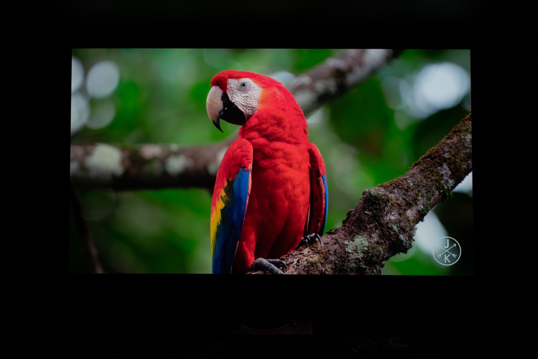 Sony VW325ES 4K HDR Home Theater Projector VPL-VW325ES, Black customer photo 2