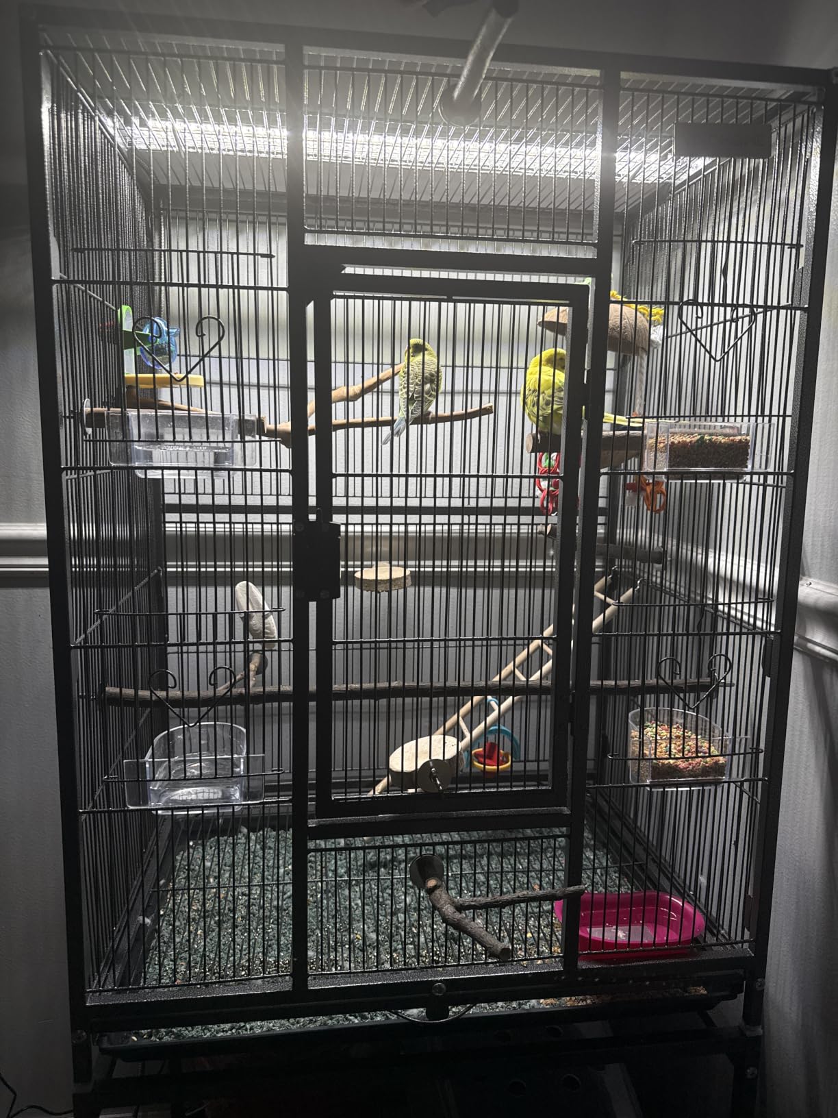 VIVOHOME 54 Inch Wrought Iron Large Bird Cage with Rolling Stand | Bird Flight Cage with Stand, Casters, Slide-out Tray for Parakeets Canaries Parrot Cockatiels Lovebirds Conures customer photo 2
