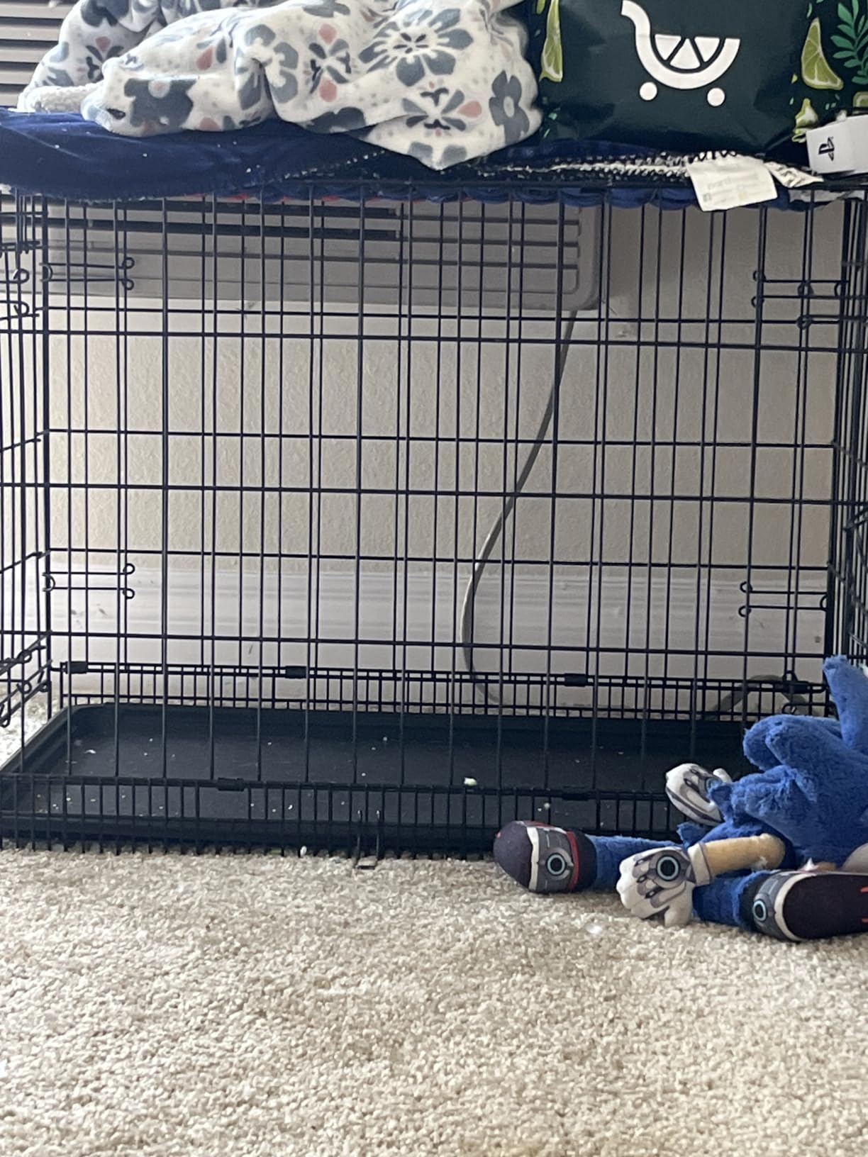 Amazon Basics Portable, Foldable Metal Wire Dog Crate with Removable Tray, Divider Panel, Easy to Assemble, for Large Dogs, 48 x 30 x 32.5 in, Black customer photo 2