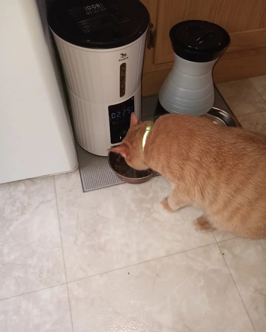 Petory Automatic Cat Feeder - 4L Dry Food Dispenser for Cats and Small Dogs | Timed Cat Feeder, Programmable Portion Control, Up to 6 Meals Daily, Dual Power Supply, 10-Second Voice Recorder customer photo 2