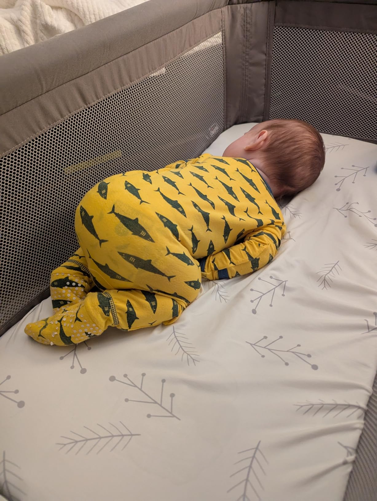 Chicco LullaGo Anywhere LE Portable Bassinet with Canopy and Carry Bag | Baby bassinet for bedside or travel use, GREENGUARD Gold, waterproof mattress, mesh sides, 13 lbs, Serene/Beige customer photo 1