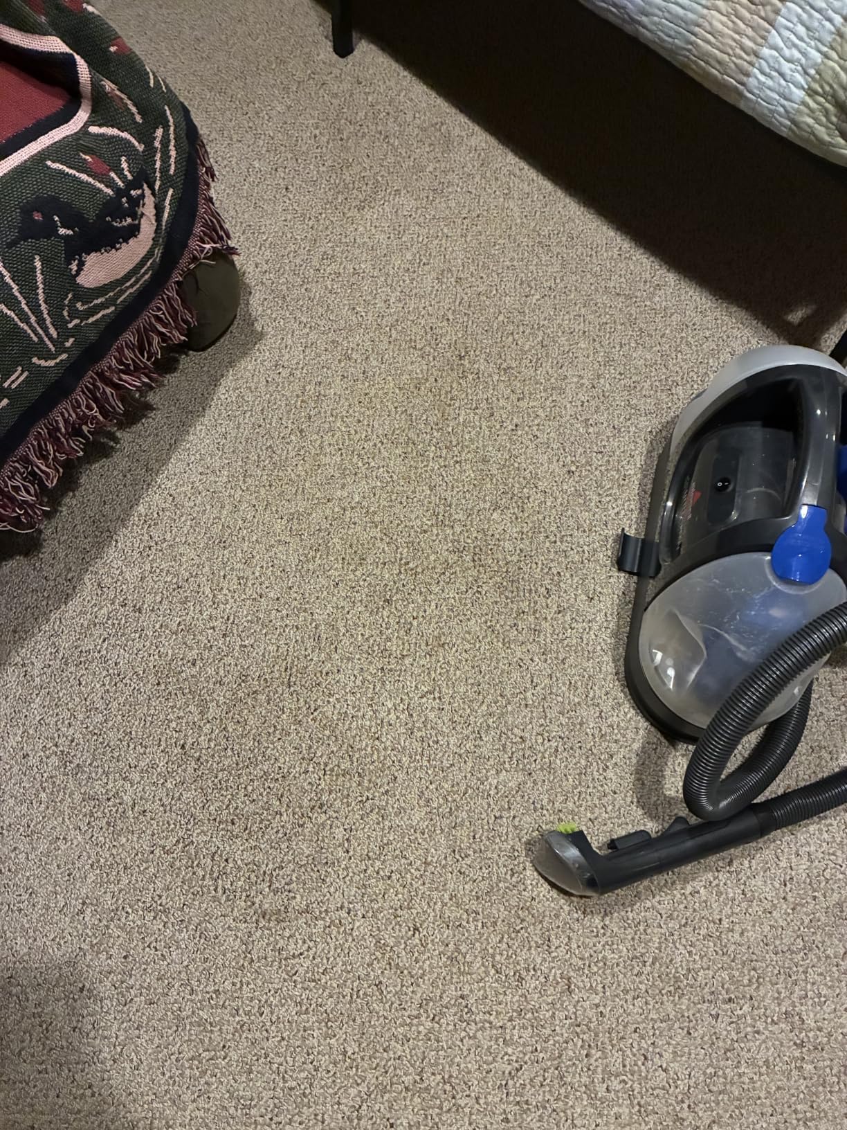 BISSELL Little Green Pet Deluxe Portable Carpet Cleaner, 3353 | Car & auto detailing capability; Gray/Blue colorway; tackles pet messes on upholstery & vehicles customer photo 1