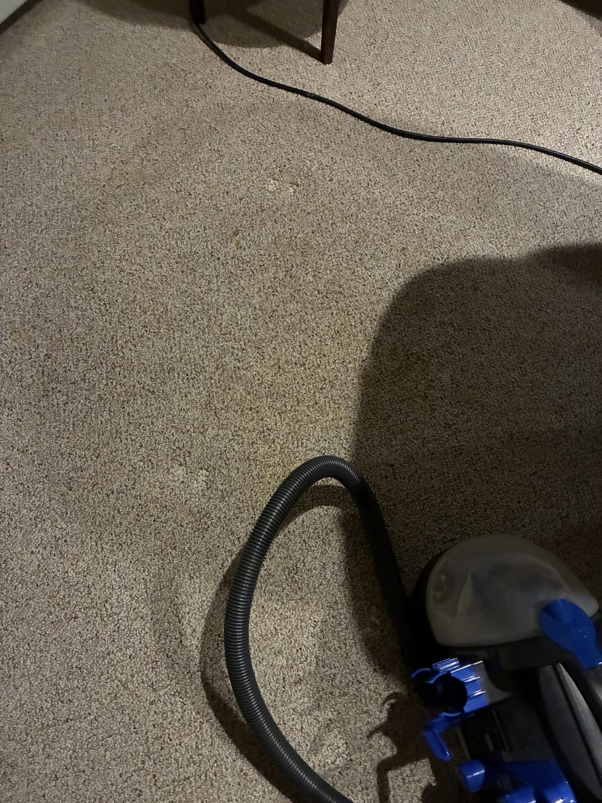 BISSELL Little Green Pet Deluxe Portable Carpet Cleaner, 3353 | Car & auto detailing capability; Gray/Blue colorway; tackles pet messes on upholstery & vehicles customer photo 2