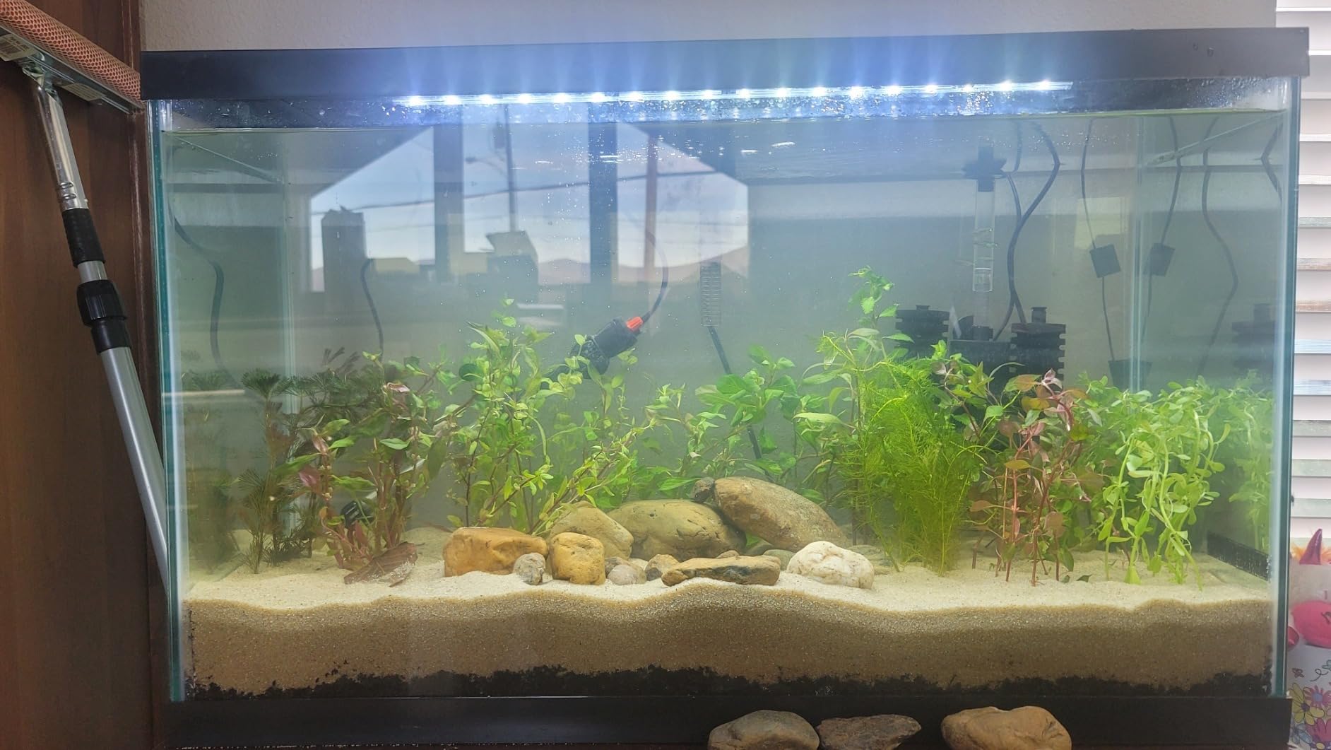 Tetra LED 10 Gallon Complete Fish Tank Kit customer photo 2
