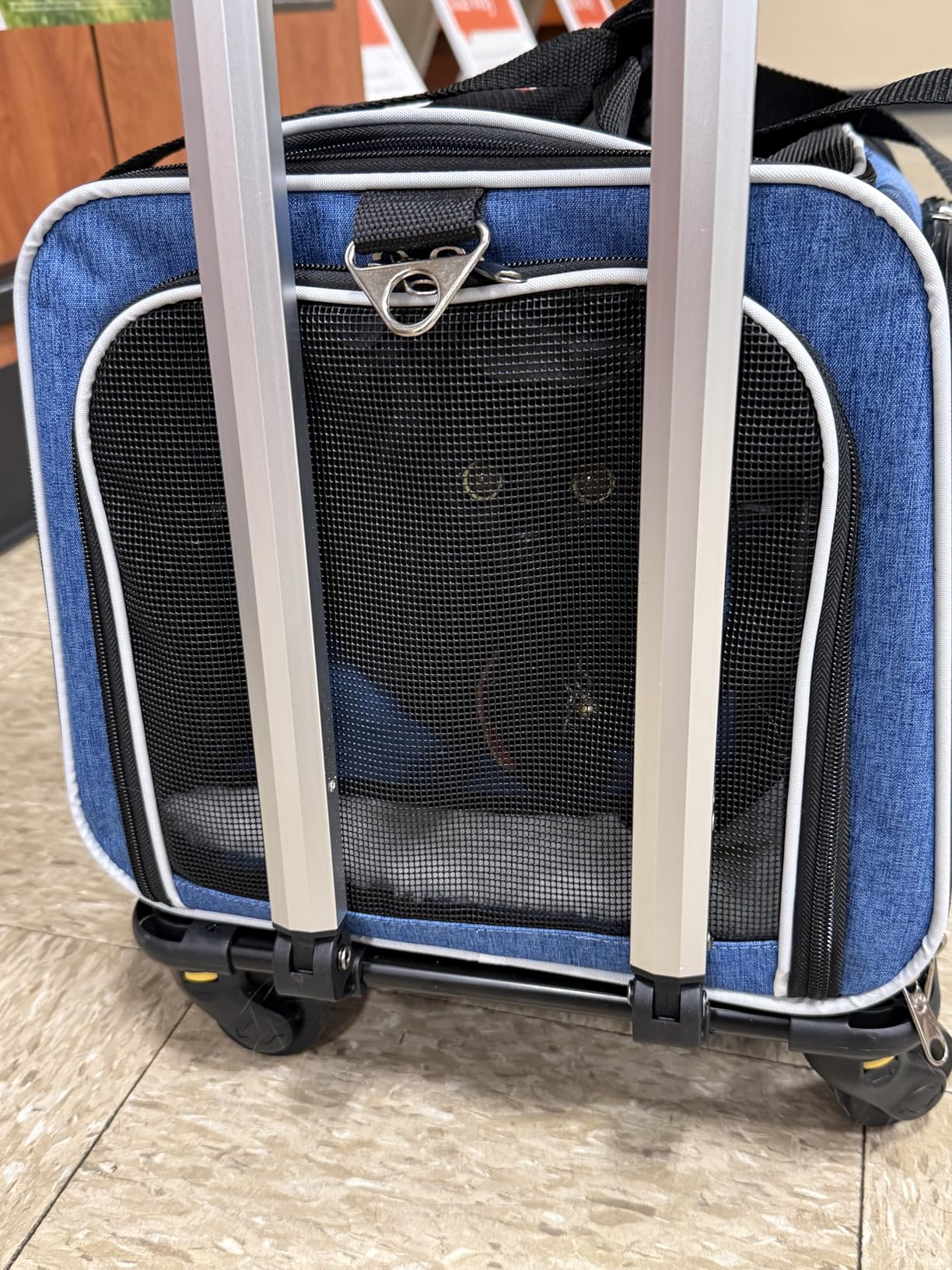 Airline Approved Expandable Premium Pet Carrier on Wheels- Two Sided Rolling Carrier- Designed for Dogs & Cats- Extra Spacious Soft Lined Carrier! (Black) customer photo 1