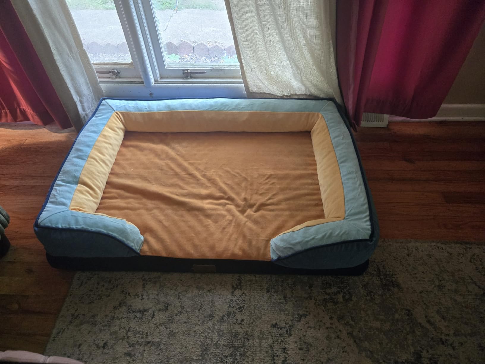 Comfort Expression Orthopedic Dog Bed for Extra Large Dogs with Bolster | Waterproof Dog Couch Bed with Washable Cover & Non-Slip Bottom, Supportive Egg Crate Foam XL Pet Bed, 42x30 Inch customer photo 1