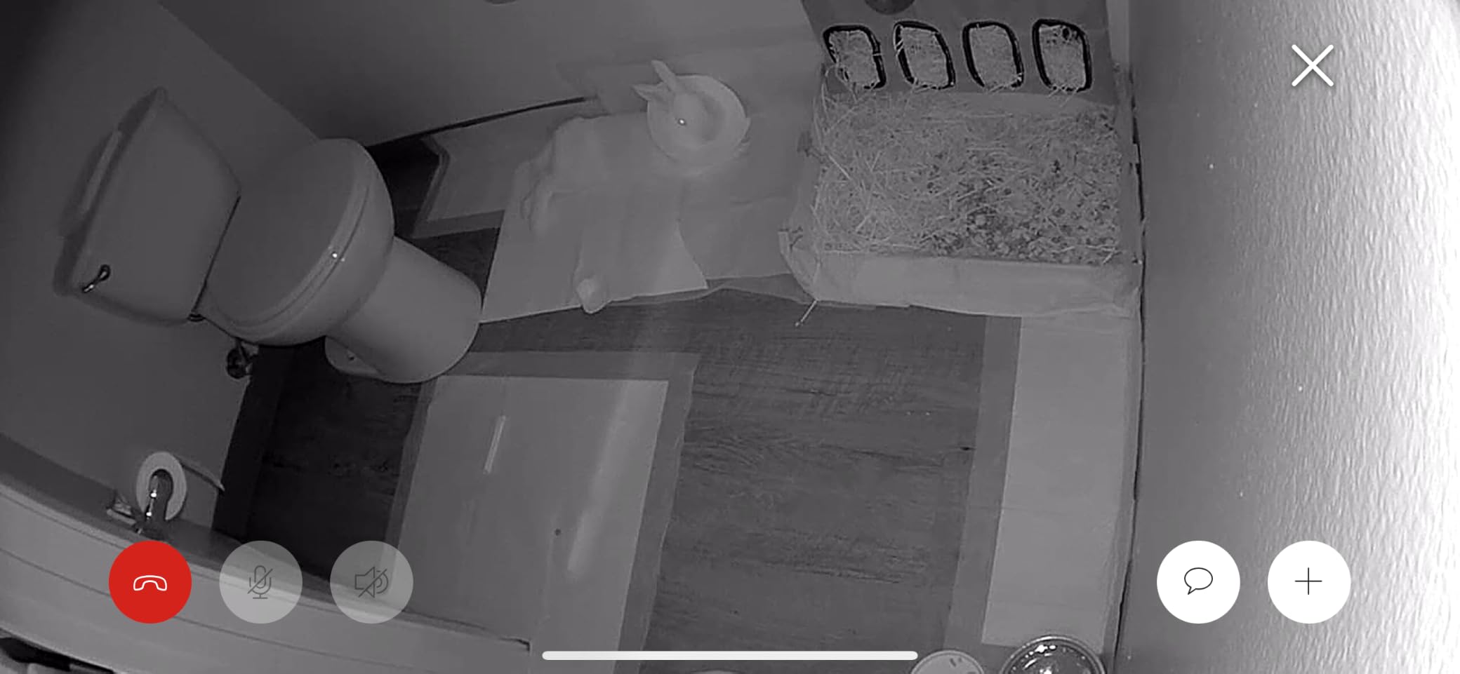 Ring Indoor Cam, Home or business security in 1080p HD video, White customer photo 1