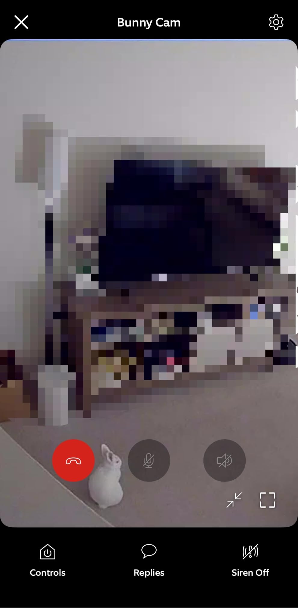 Ring Indoor Cam, Home or business security in 1080p HD video, White customer photo 2
