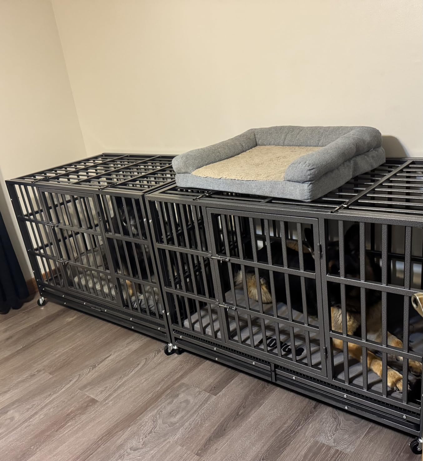 Hiwokk 48 Inch Heavy Duty Dog Crate, Indestructible Escape-Proof Dog Kennel for High Anxiety Large Dogs, Strong Metal Pet Cage with Double Doors, Lockable Wheels & Removable Tray, XL XXL XXXL customer photo 1