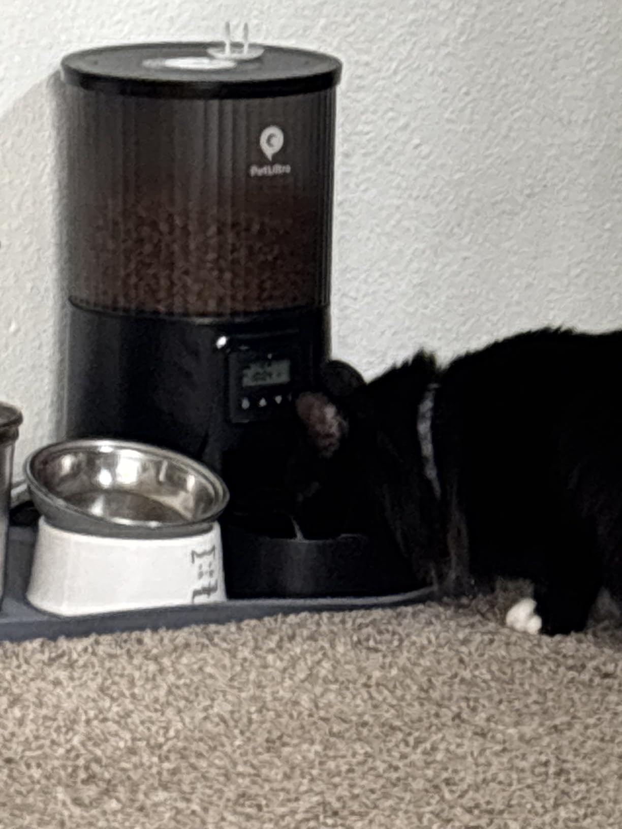 PETULTRA Automatic Cat Feeder: 4L Timed Cats Food Dispenser Programmable 1-6 Meal for Cat and Small Medium Dog- Auto Pet Feeder Easy to Set Up Dual Power Supply with Desiccant Bag| Detachable Washable customer photo 1