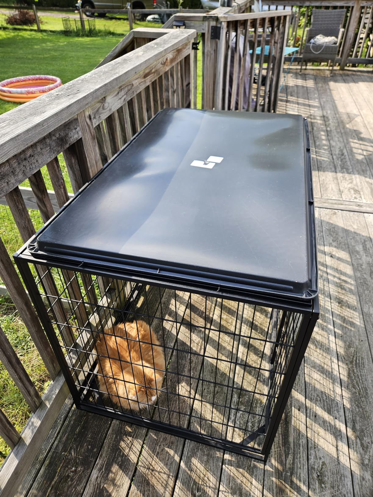 Feandrea 48 Inch Heavy Duty Dog Crate, Metal Escape Proof Dog Kennel with Double Doors and Convenient Feeding Door, Removable Tray, Easy to Clean, XXL Dog Crate for Large and Medium Dogs, Black customer photo 2
