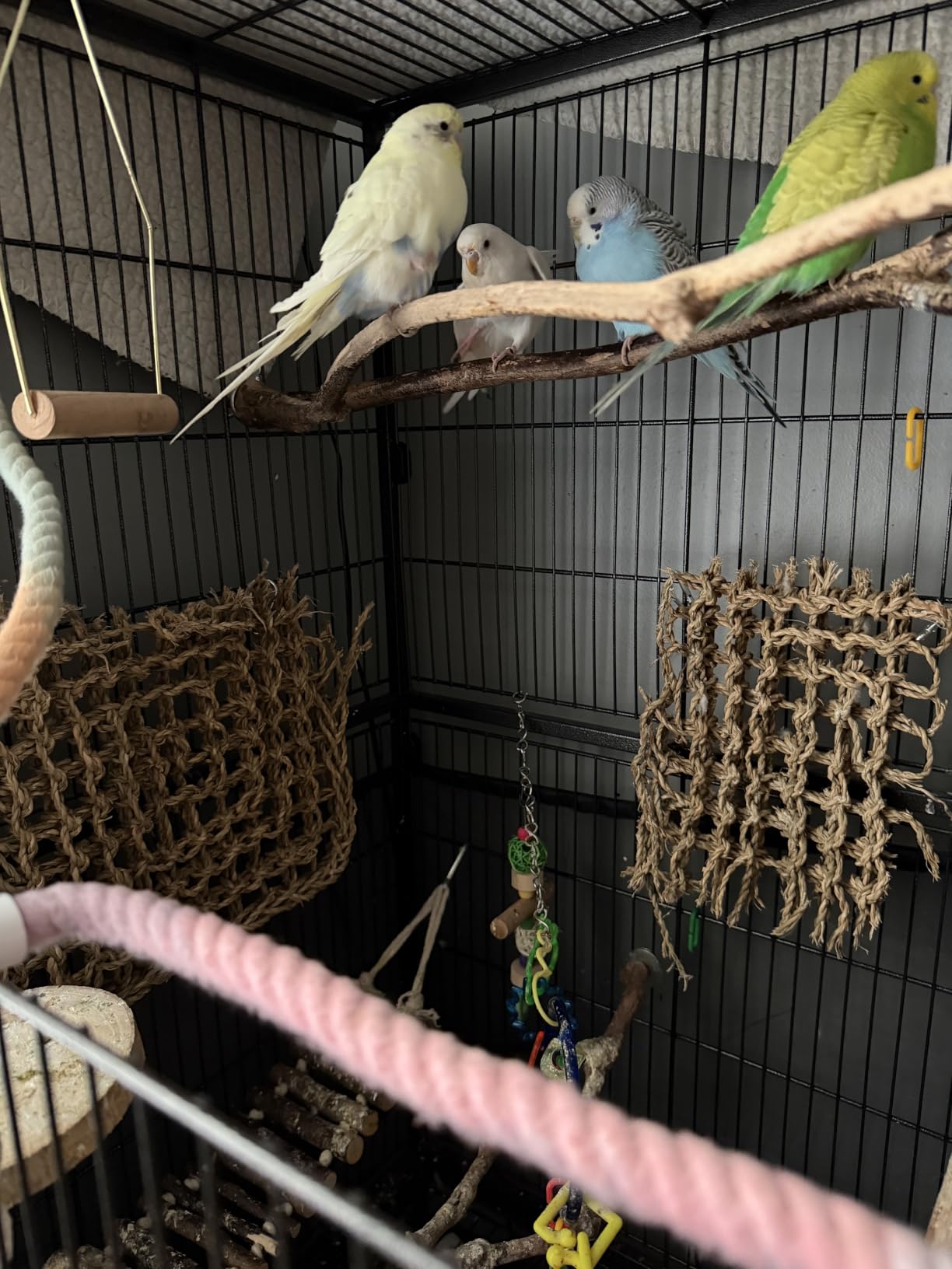 Yaheetech 60.5inch Extra Large Bird Cage Metal Parrot Cage Flight Cage for Cockatiels African Grey Quaker Green Cheek Sun Conure Medium Birds Parrots customer photo 1