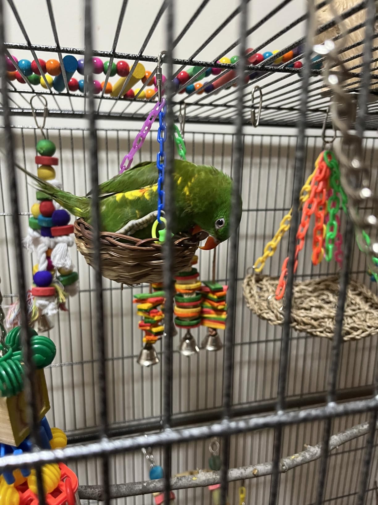 Topeakmart X-Large Parrot Cage Bird Cage with Rolling Stand for Medium Birds Cockatiels Quaker Green Cheek Sun Conure African Grey, 60.5inch customer photo 1