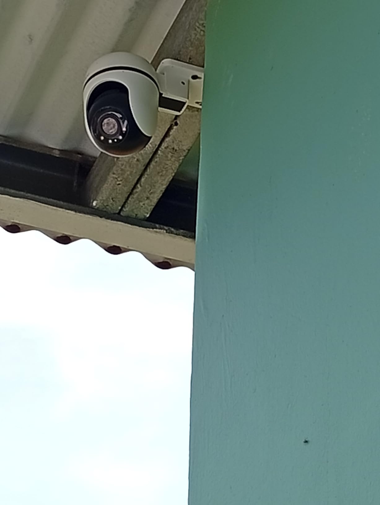 Tapo 1080P Outdoor Wired Pan/Tilt Security Wi-Fi Camera, 360° View customer photo 2