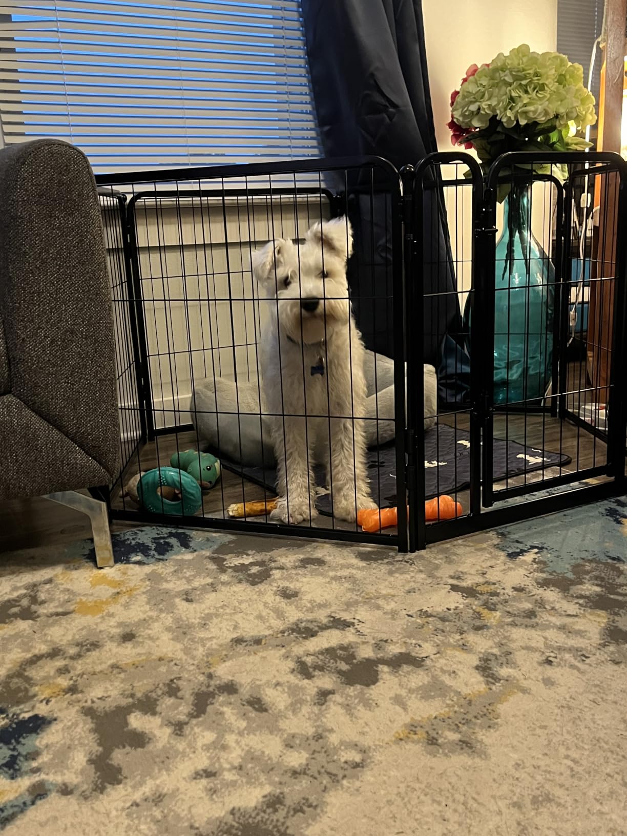 FXW Homeplus Unleashed Indoor Dog Playpen - Stress-Free and Safe Play, Heavy Duty 24 Inch 6 Panels Dog Pen for Puppy and Small Dogs, Black│Patented customer photo 1